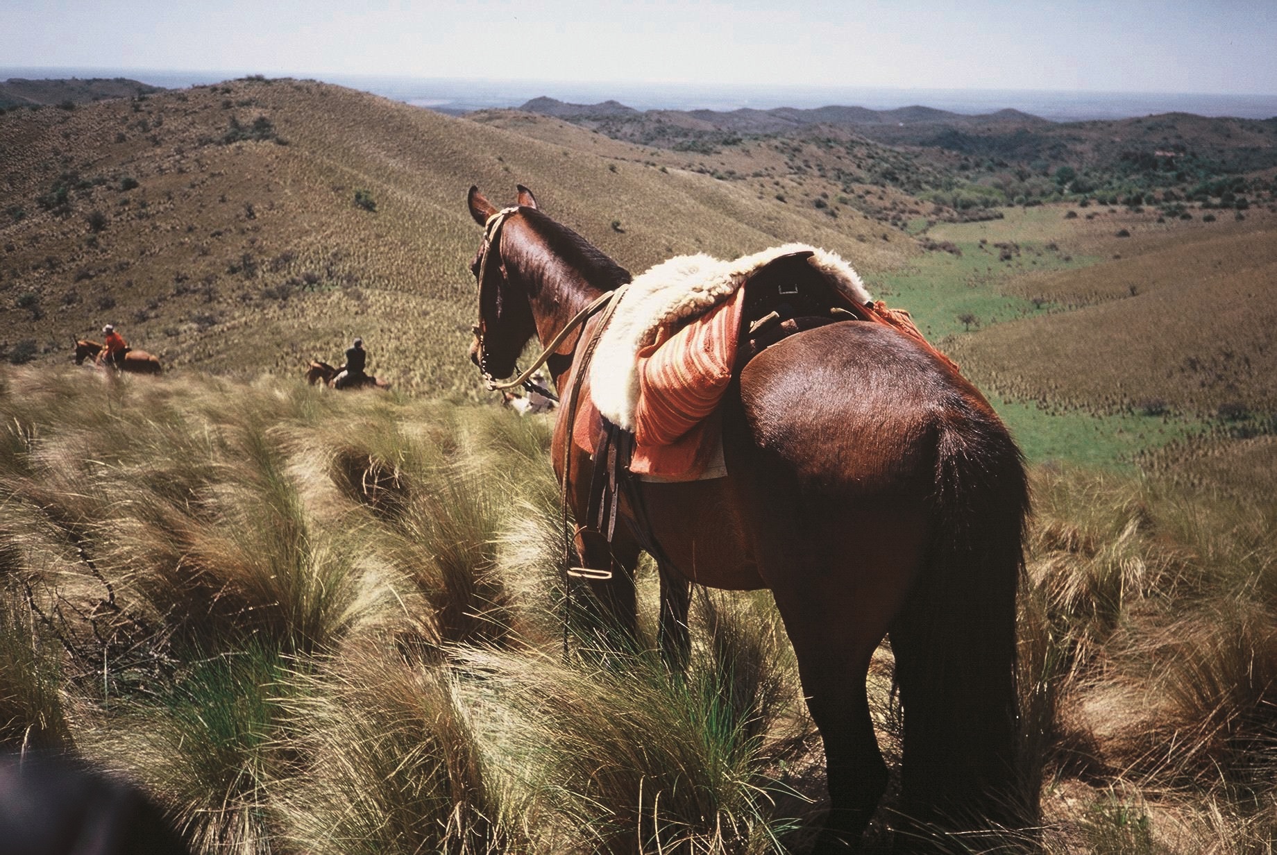 Paardrijden in Argentinië - Vakantie te paard / Reisbureau Perlan