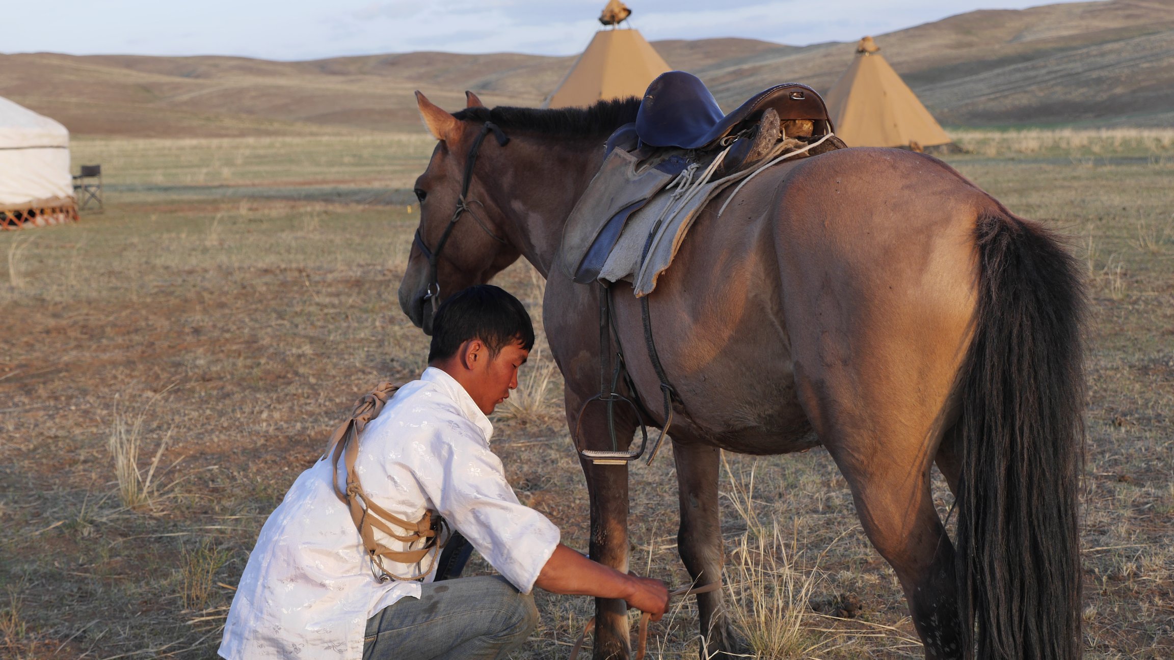 Paardrijden in Mongolië - Vakantie te paard / Reisbureau Perlan
