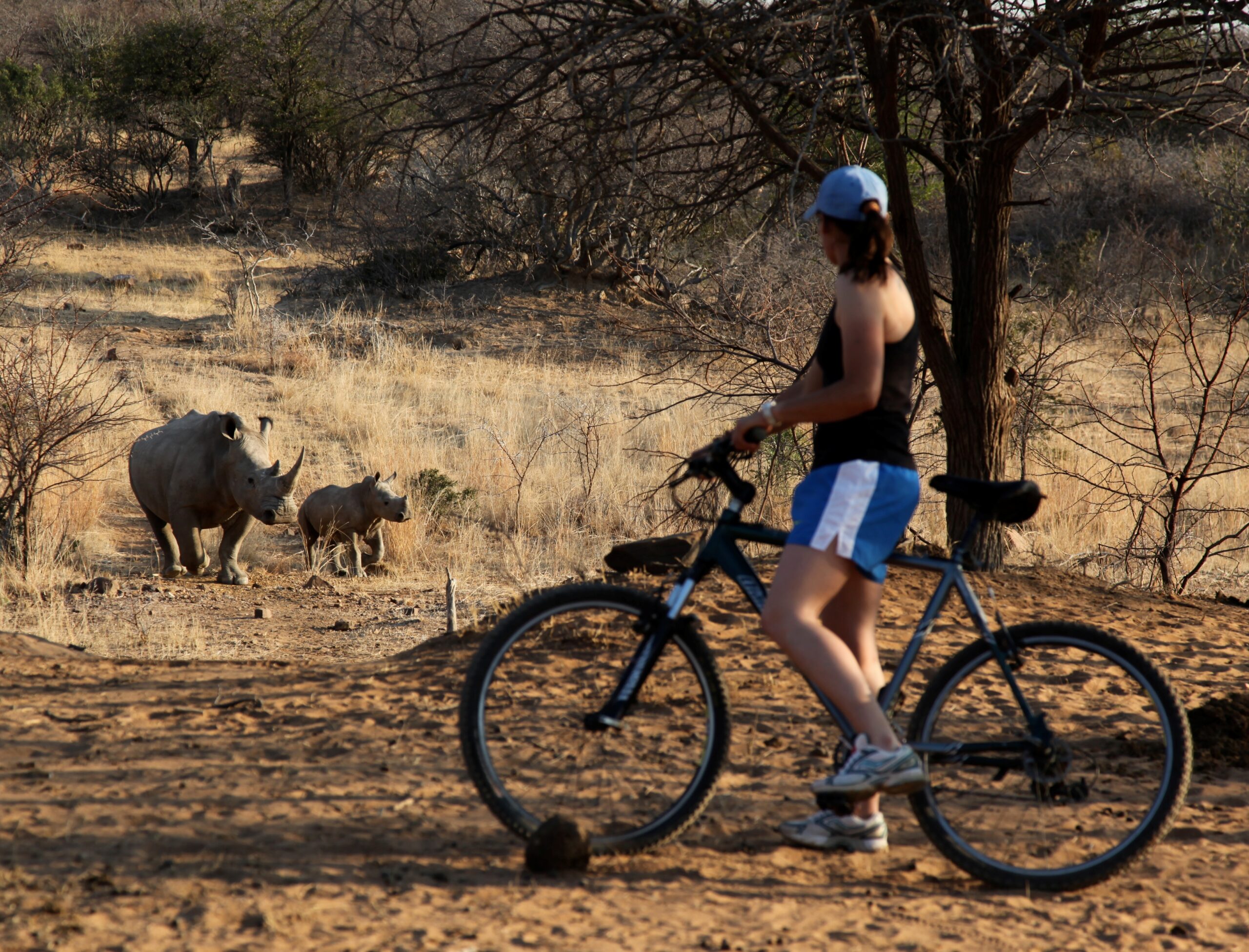 Safari te paard in Ants Lodges / Zuid Afrika - Vakantie te paard / Reisbureau Perla
