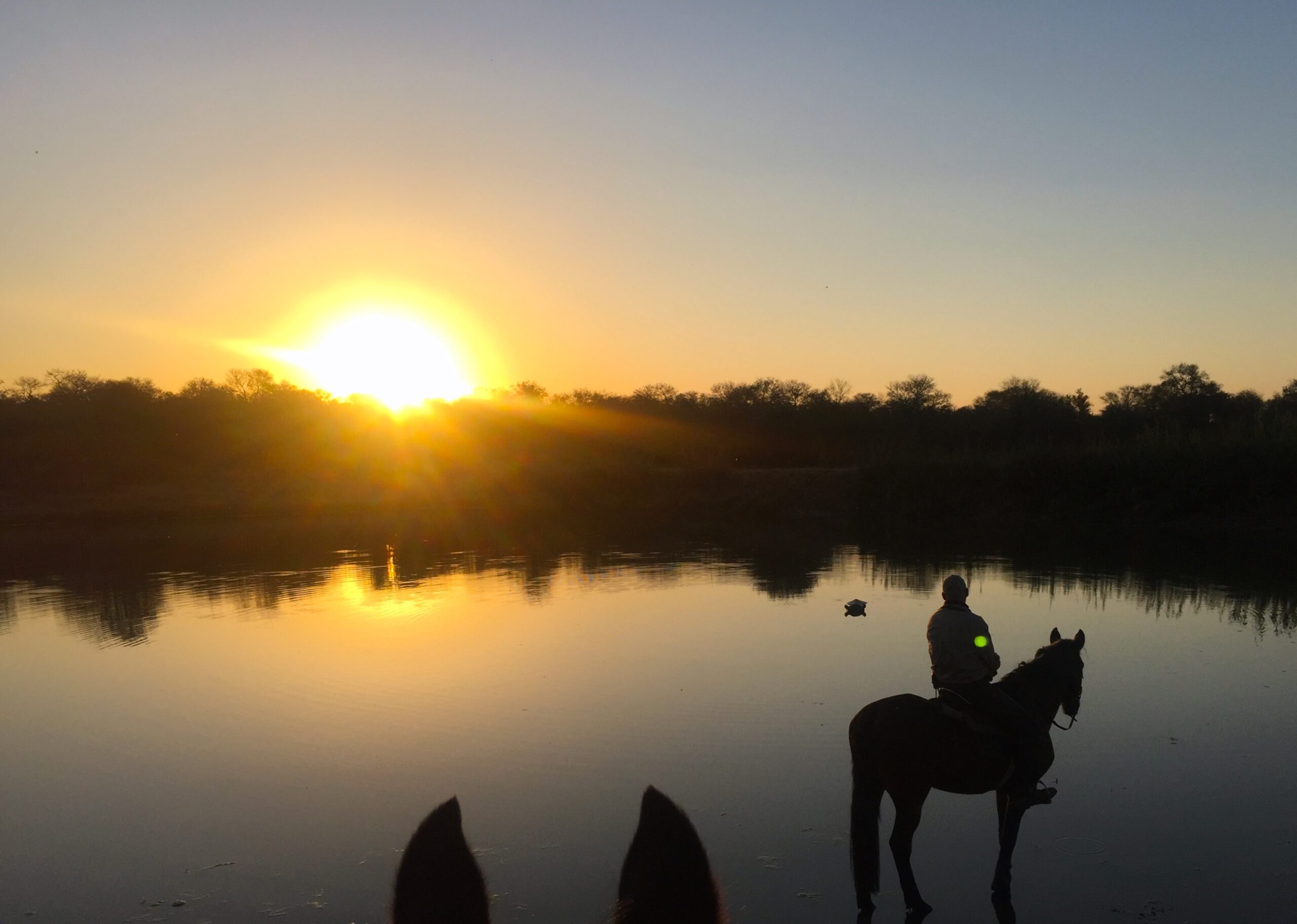 Safari te paard in Wait a Little / Zuid Afrika - Vakantie te paard / Reisbureau Perlan