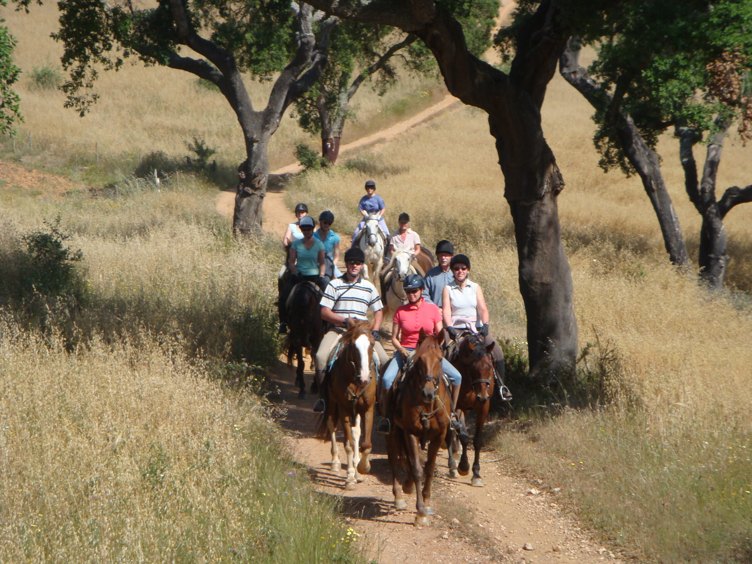 Paardrijden in Noord Portugal - Vakantie te paard / Reisbureau Perlan