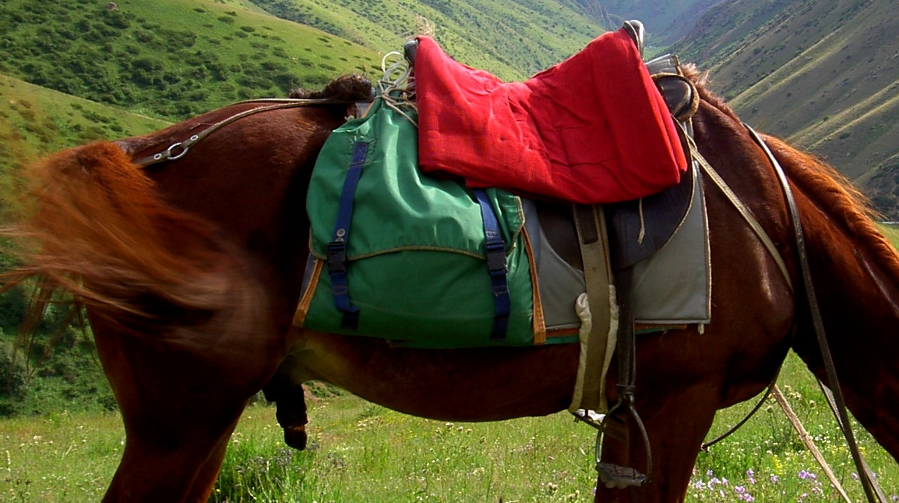 Paardrijvakantie in Kyrgizië - Vakantie te paard / Reisbureau Perlan