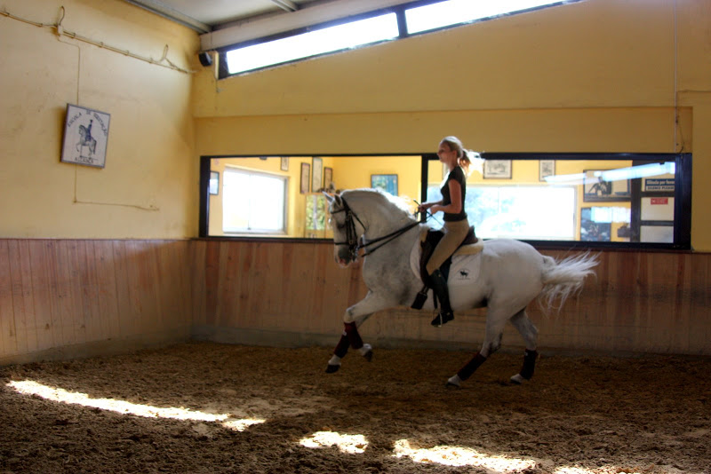 Dressuurstage in Alcainca / Portugal - Vakantie te paard / Reisbureau Perlan