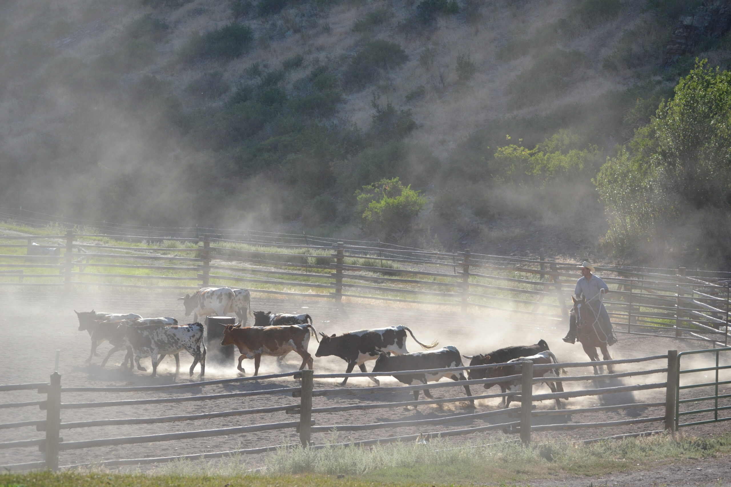 Ranchvakantie in Montana / Verenigde Staten - Vakantie te paard / Reisbureau Perlan