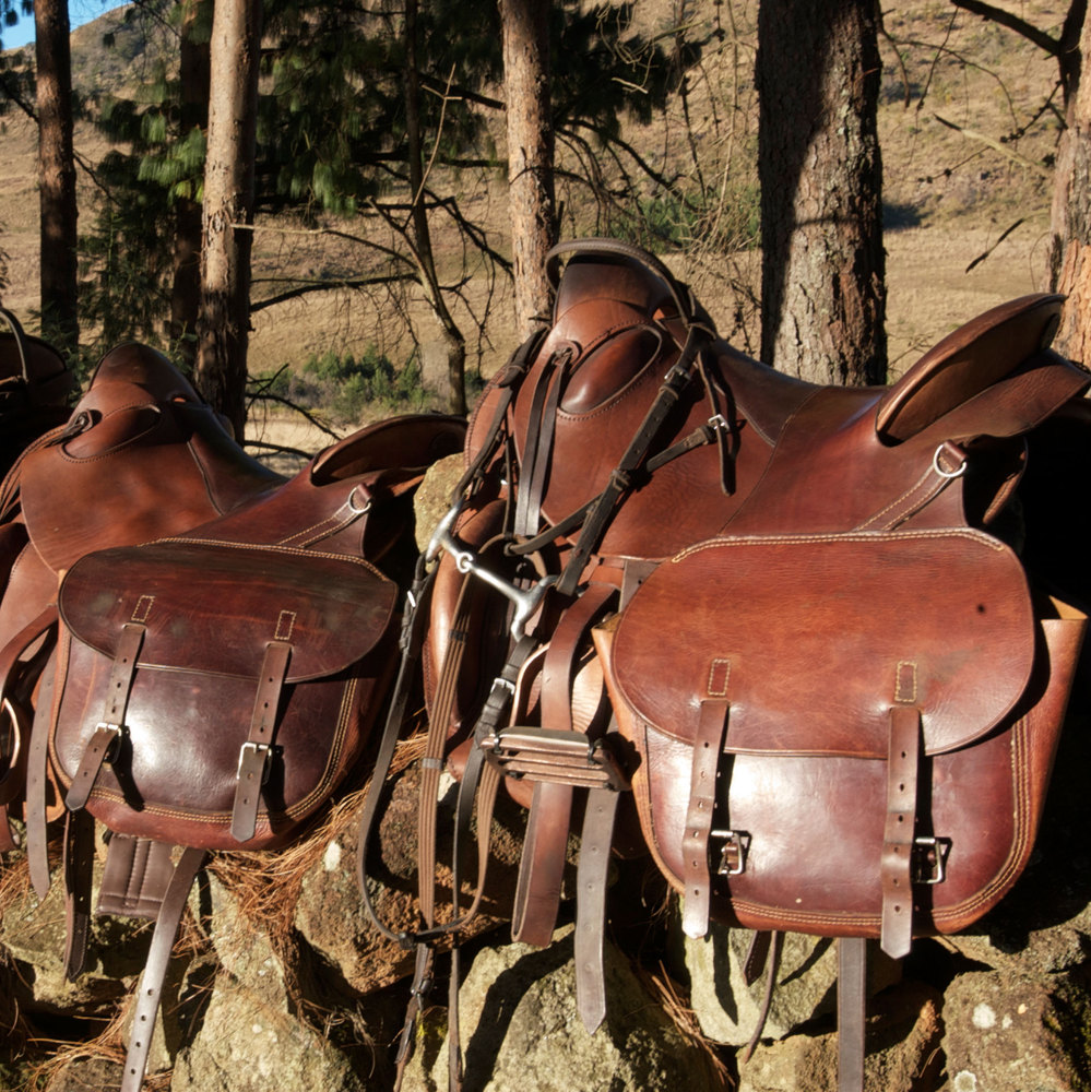 Paardrijden in Eswatani (Swaziland) - Vakantie te paard / Reisbureau Perlan