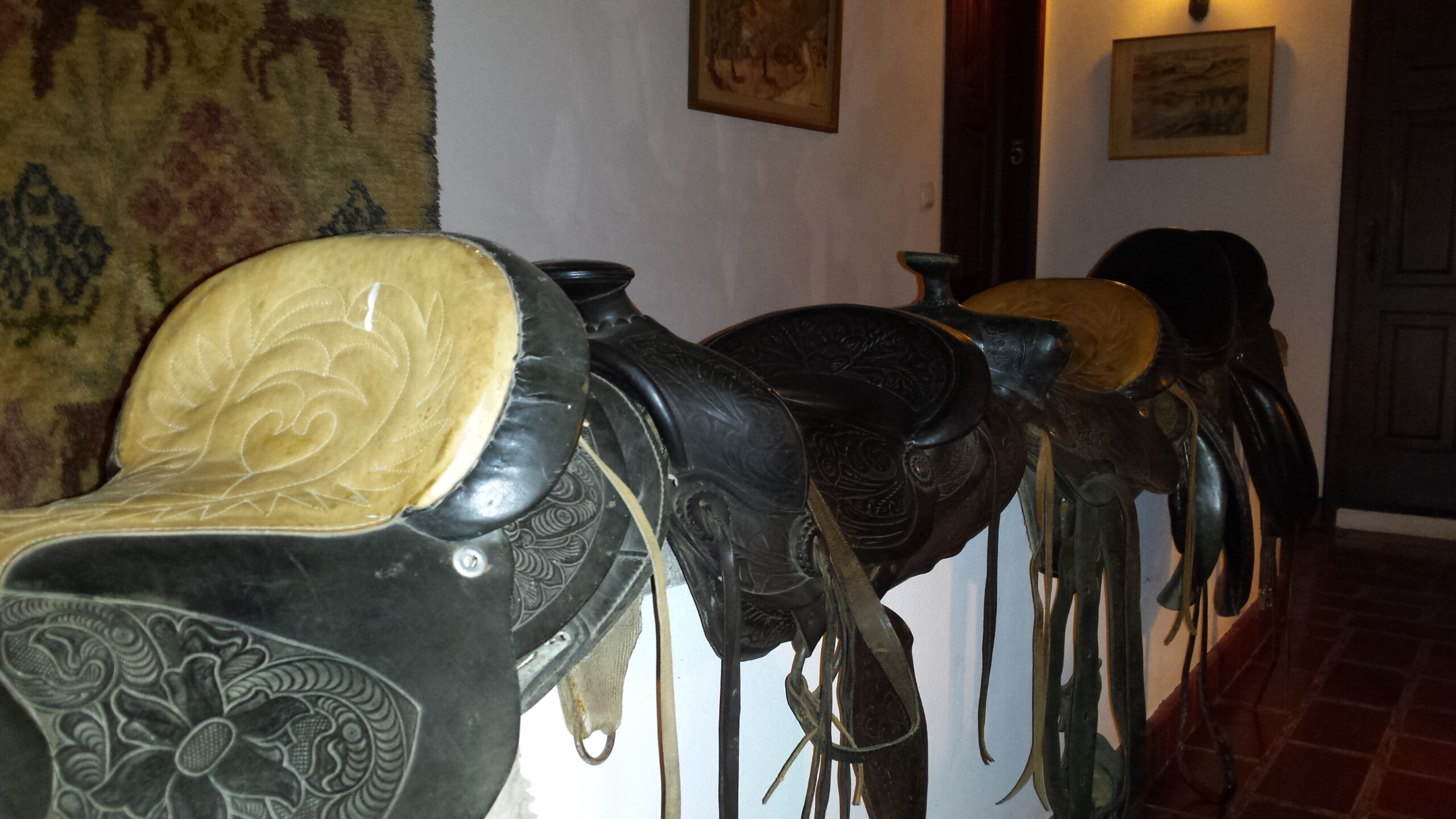 Te paard langs de Loire kastelen / Frankrijk - Vakantie te paard / Reisbureau Perlan