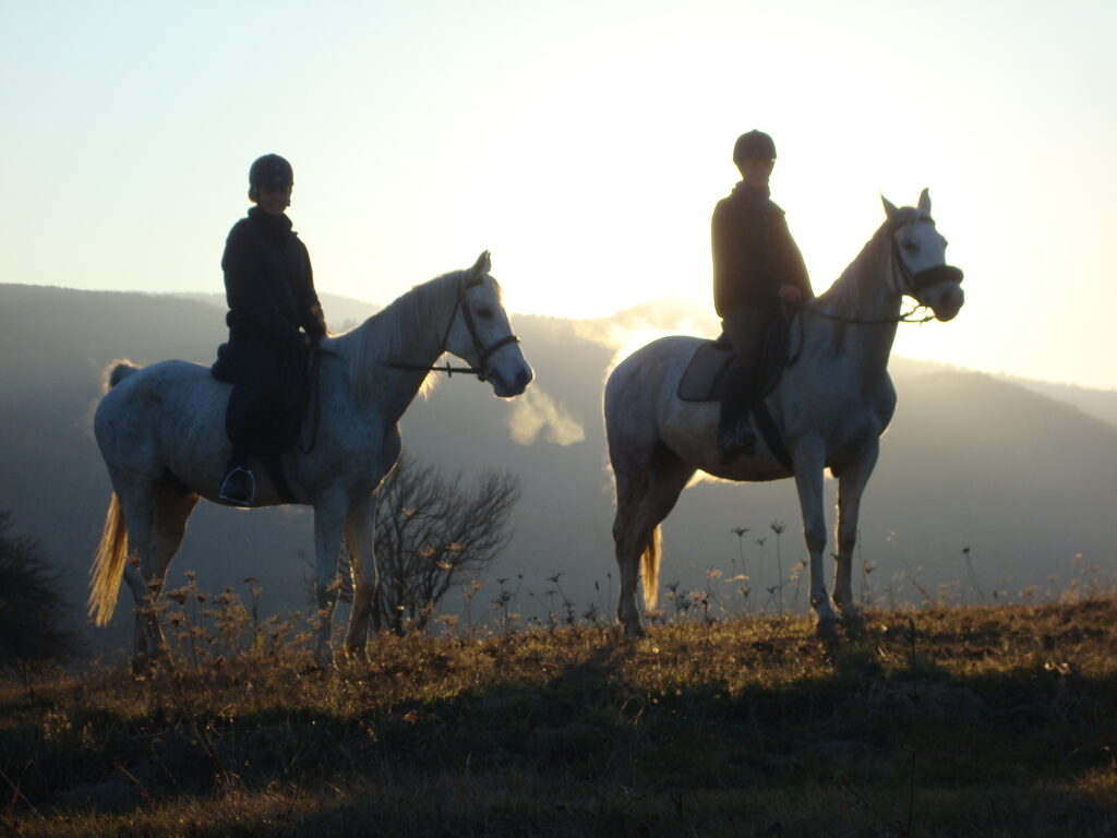 Heerlijk genieten te paard in de Karpaten / Roemenië - Vakantie te paard / Reisbureau Perlan
