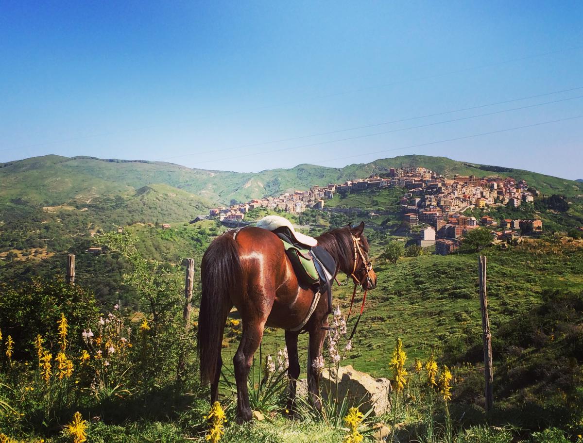 Paardrijden rond de Etna in Sicilië - Vakantie te paard / Reisbureau Perlan