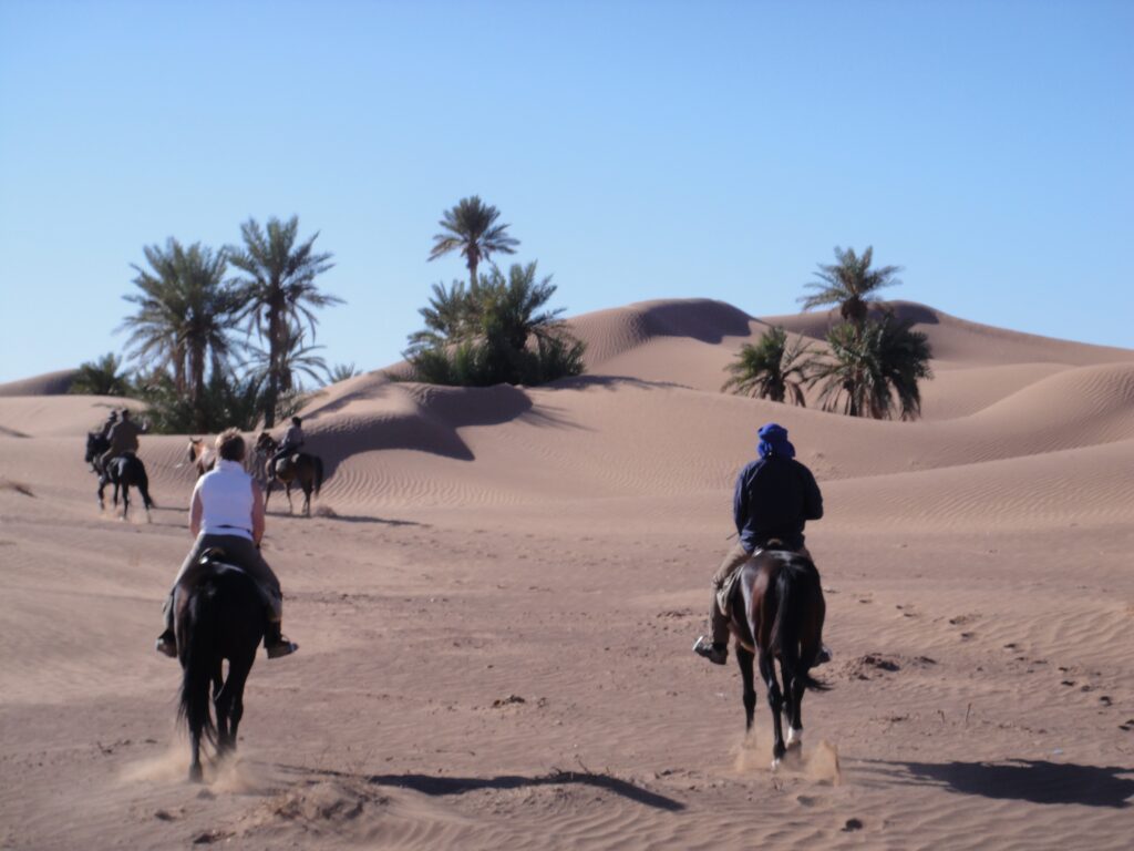 Van oase naar oase in Marokko - Vakantie te paard / Reisbureau Perlan
