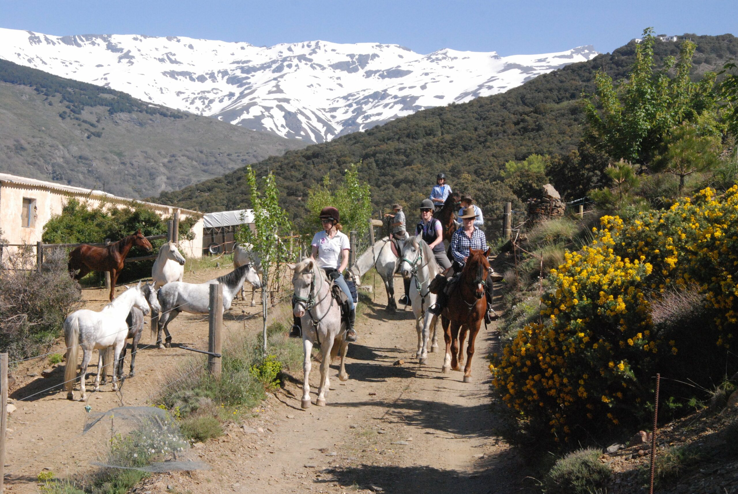 Sierra Nevada te paard - Vakantie te paard / Reisbureau Perlan