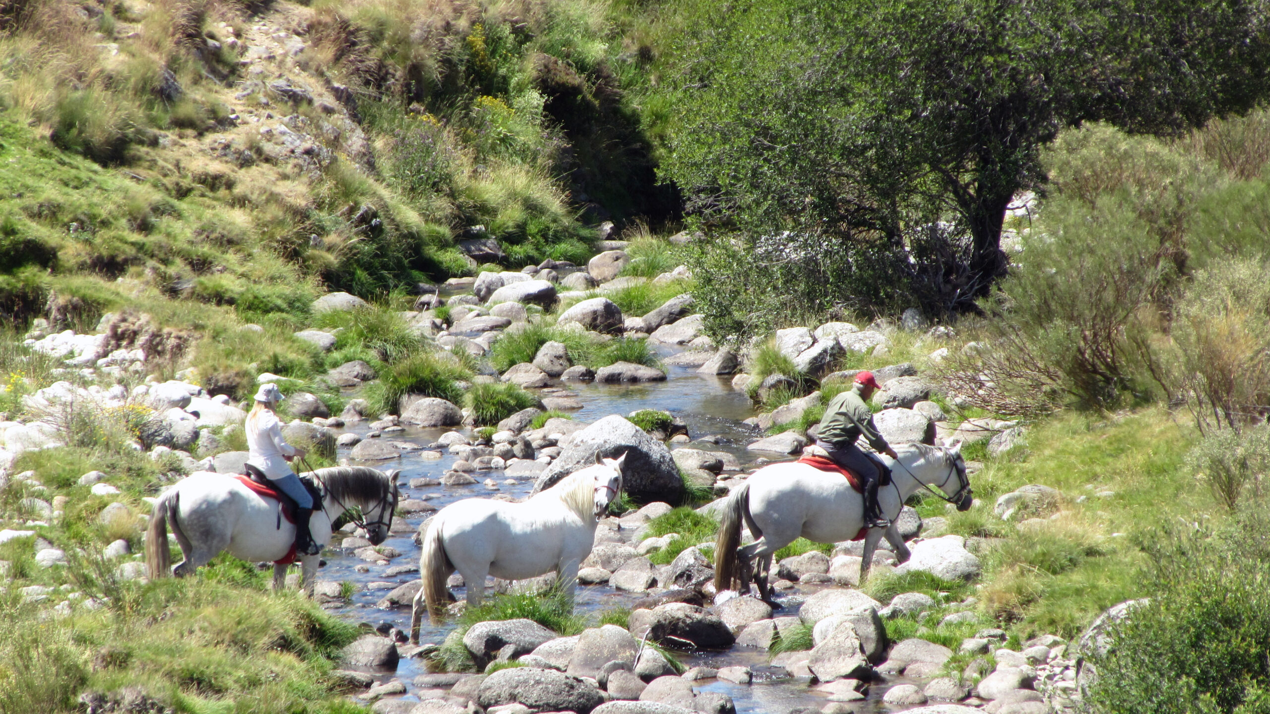 Paardrijden in de Sierra de Gredos / Spanje - Vakantie te paard / Reisbureau Perlan