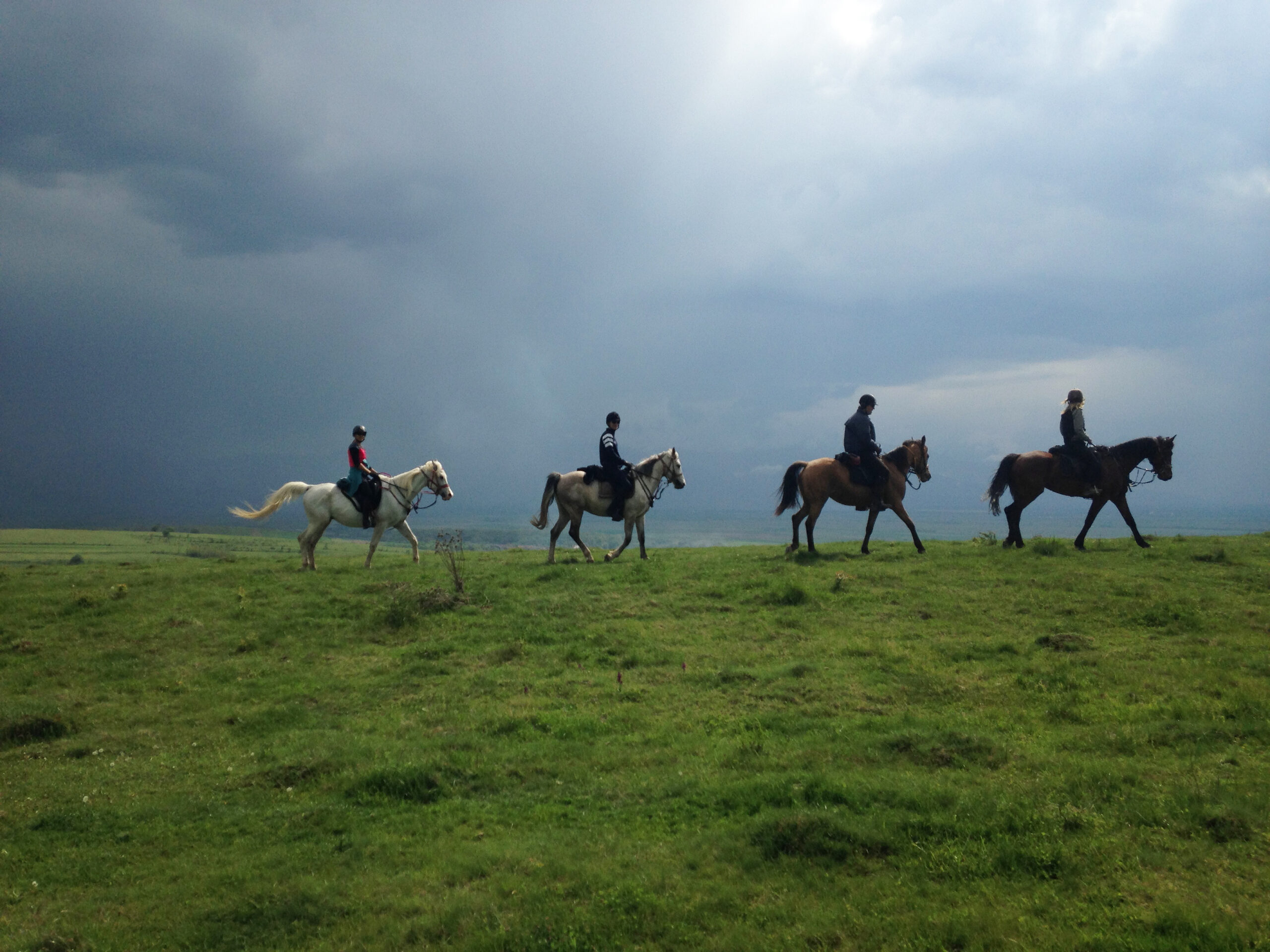 Paardrijden in en rond de Karpaten (Roemenië) - Vakantie te paard / Reisbureau Perla
