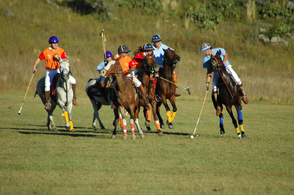 Polo spelen in Argentinië - Vakantie te paard / Reisbureau Perlan