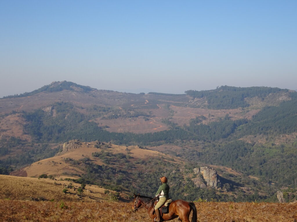 paard met ruiter op vakantie in Eswatini