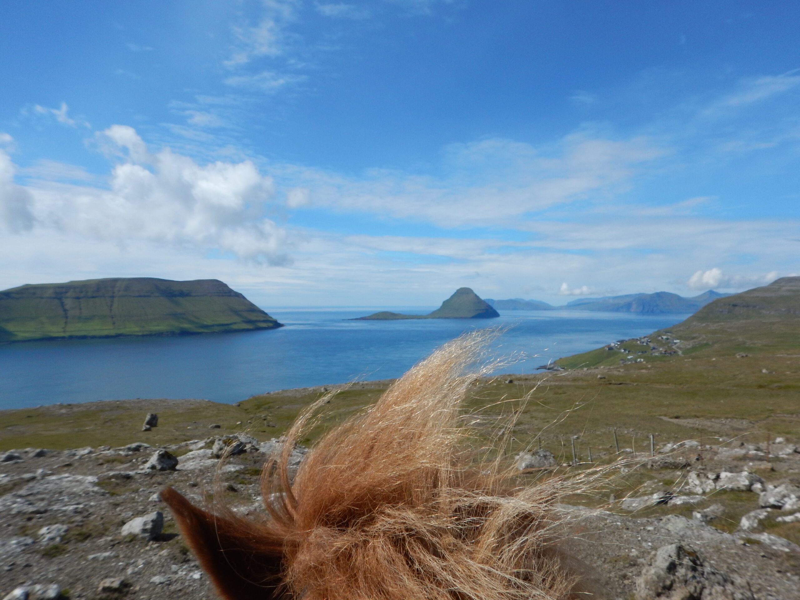 Paardrijden op de Faroer Eilanden - Vakantie te Paard / Reisbureau Perlan