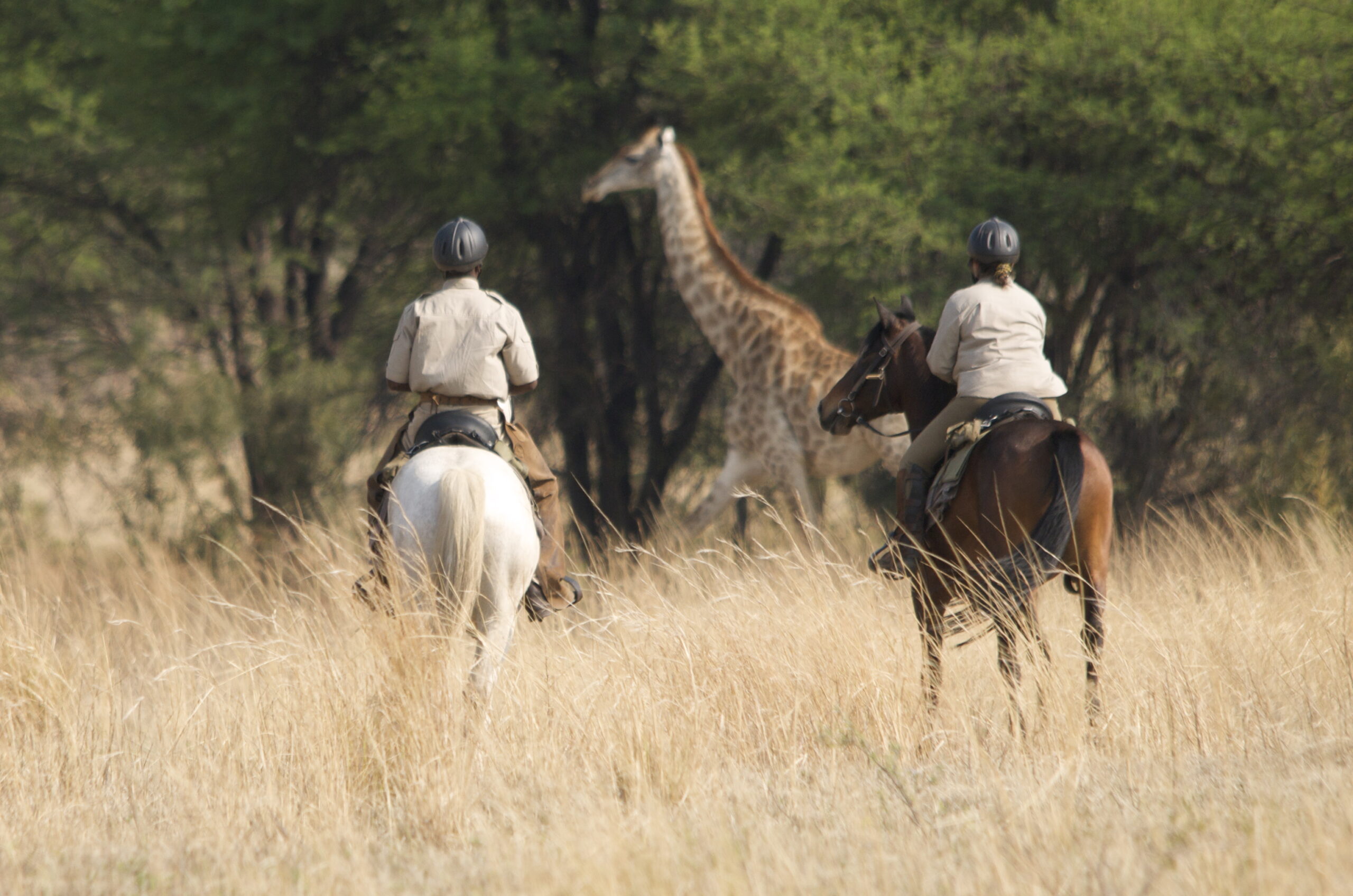 Safari te paard in Waterberg / Zuid Afrika - Vakantie te paard / Reisbureau Perla