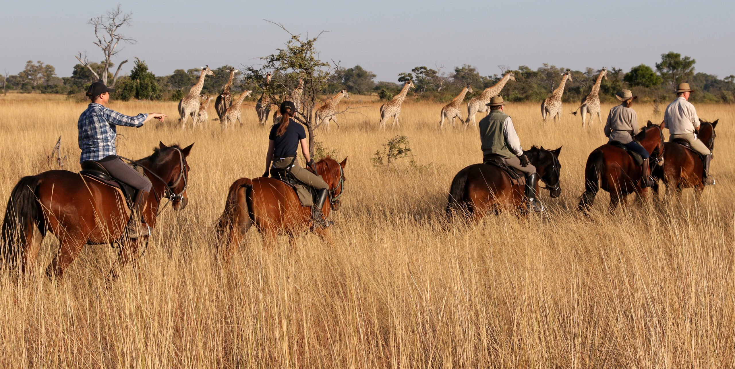 Safari te paard in Kujwana / Botswana - Vakantie te paard / Reisbureau Perlan