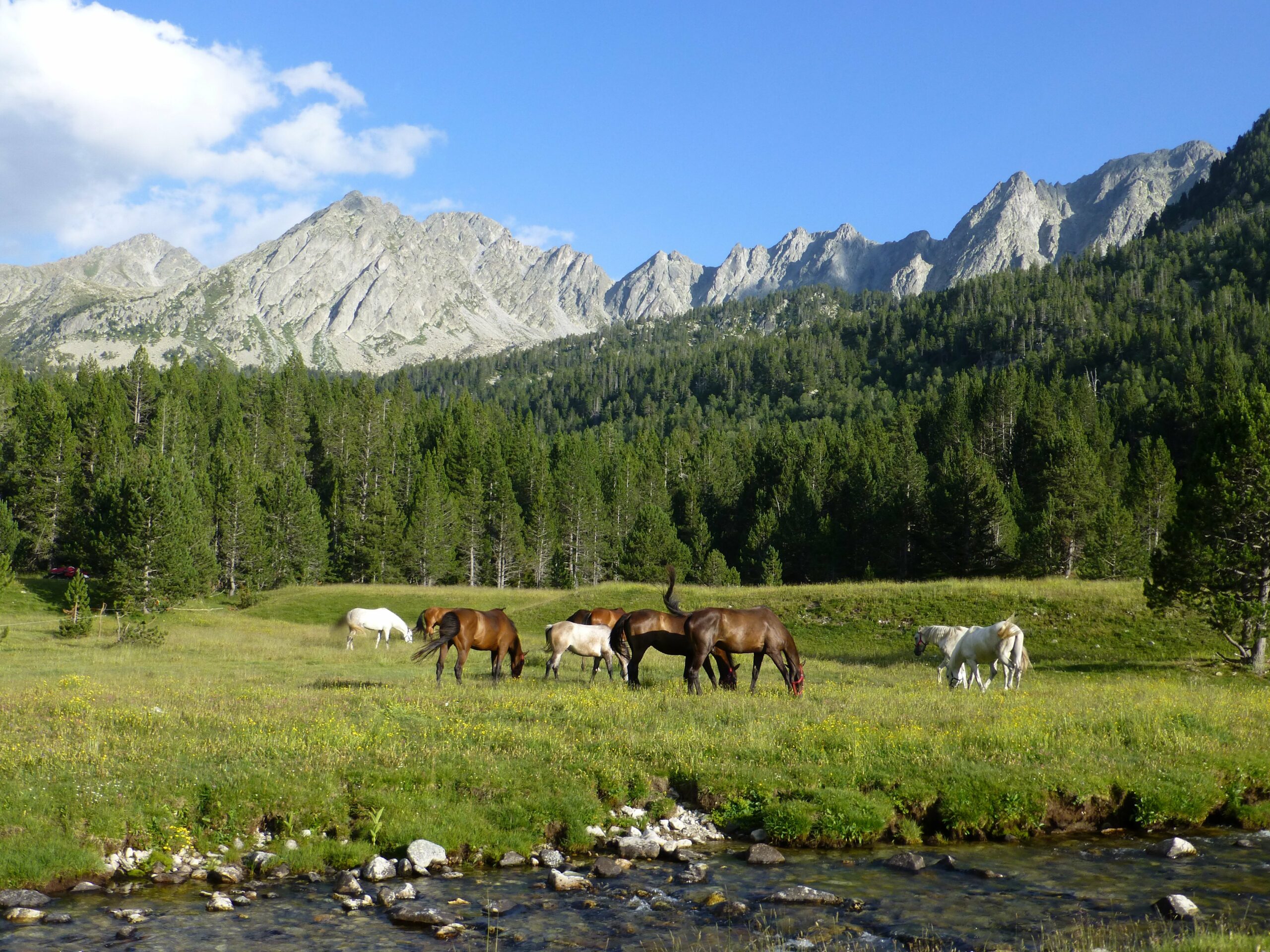 Te paard door Catalonië - Vakantie te paard / Reisbureau Perlan