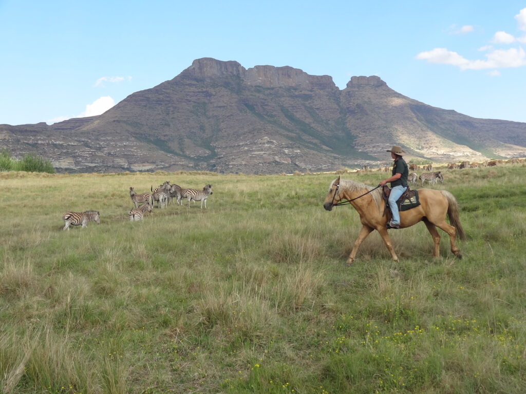 Paardrijden in Moolmanshoek / Zuid Afrika - Vakantie te paard / Reisbureau Perlan