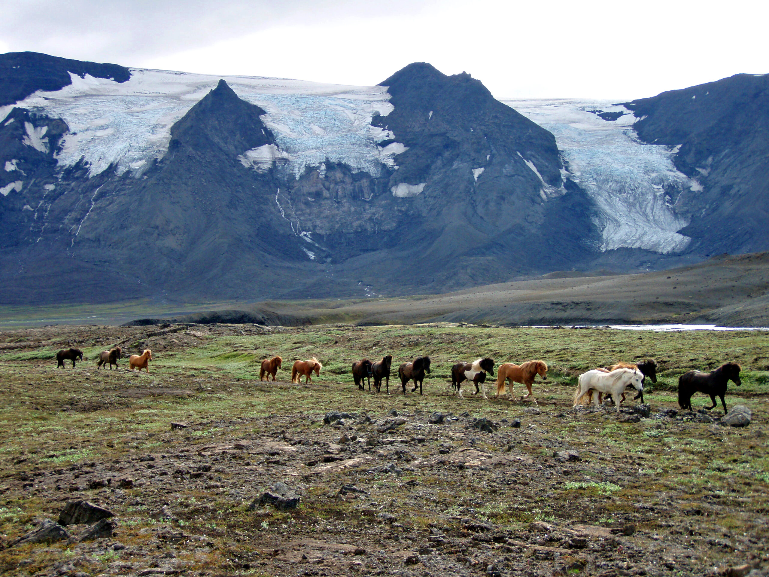 Paardrijden in IJsland - Vakantie te paard / Reisbureau Perlan