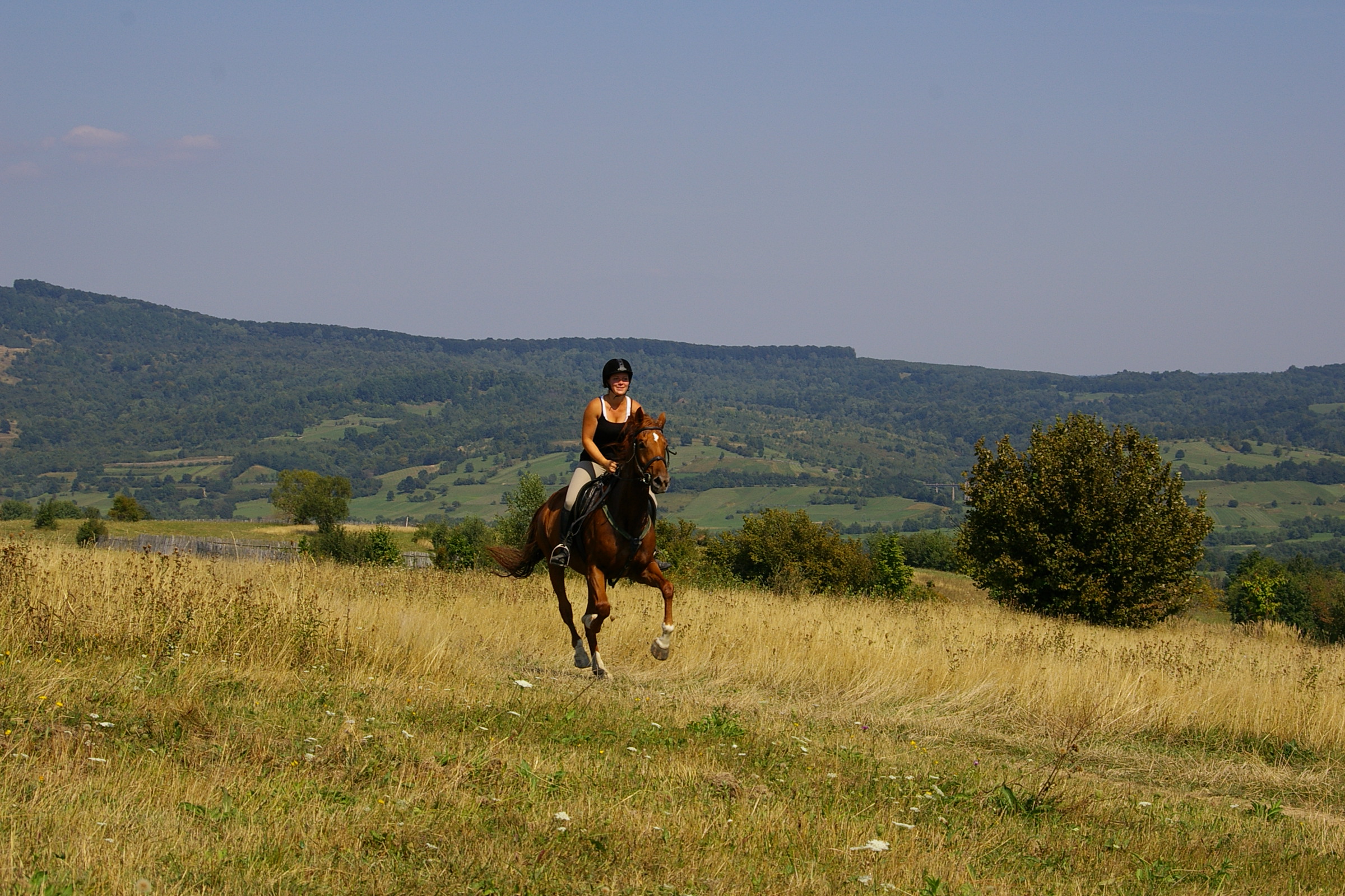 Paardrijden in en rond de Karpaten (Roemenië) - Vakantie te paard / Reisbureau Perla