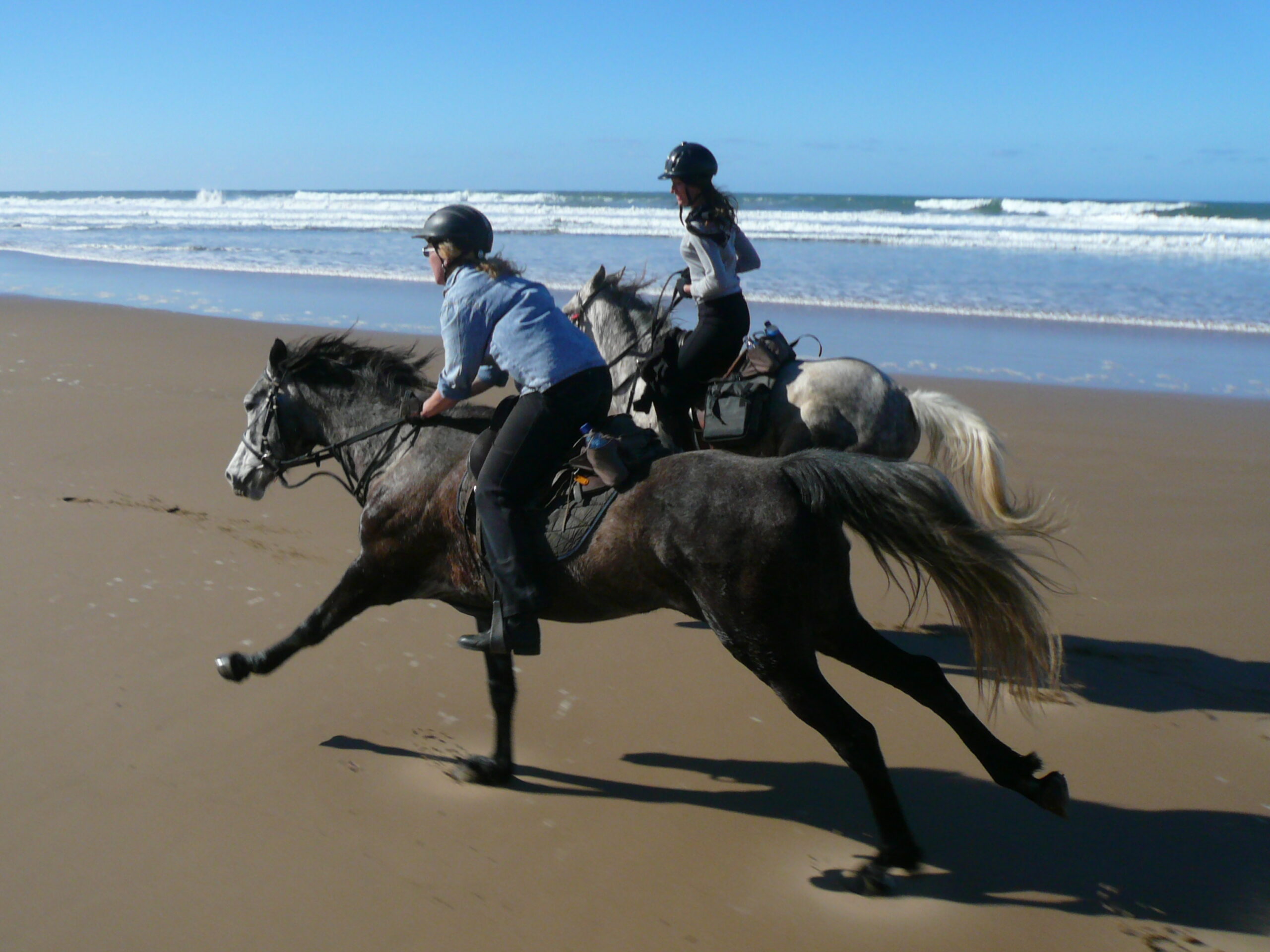 Paardrijden aan de Wild Coast in Zuid Afrika - Vakantie te paard / Reisbureau Perlan