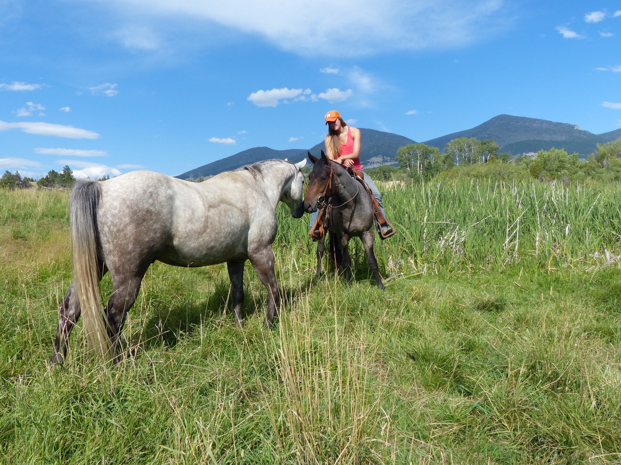 Ranchvakantie in Montana / Verenigde Staten - Vakantie te paard / Reisbureau Perlan