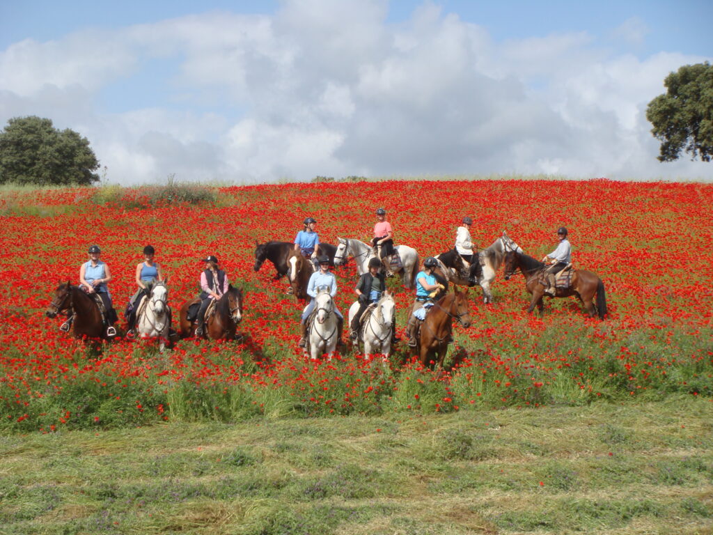 Paardrijden in Portugal - Vakantie te paard / Reisbureau Perlan