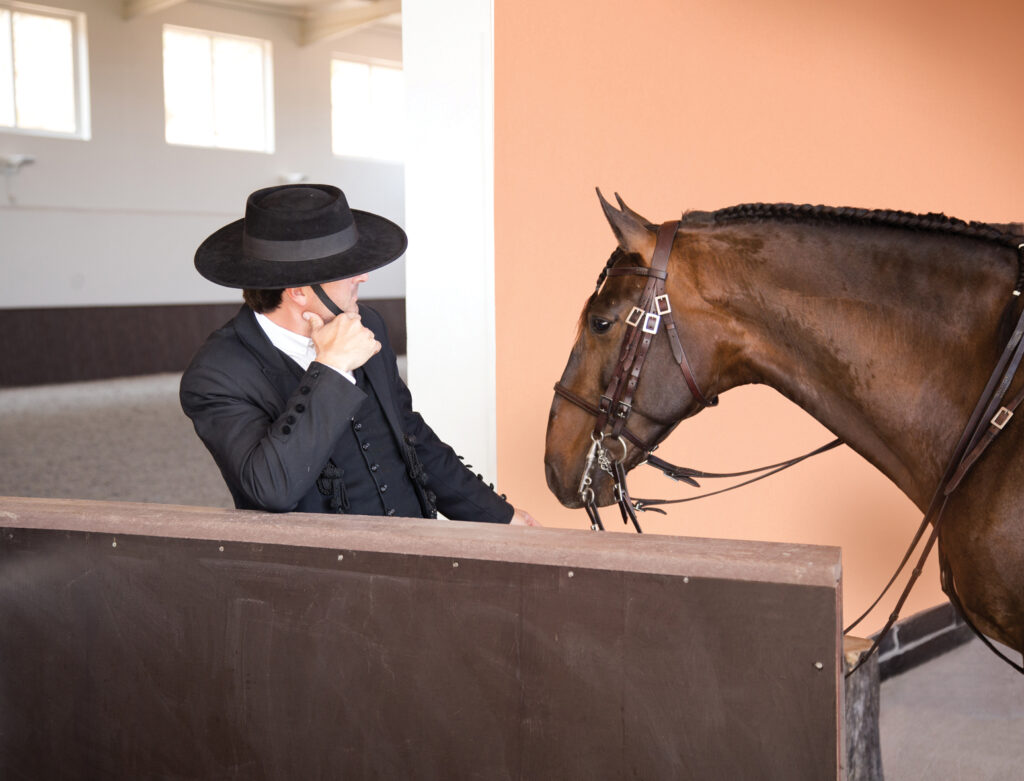 Rijden met Lusitano's in Portugal - Vakantie te paard / Reisbureau Perlan