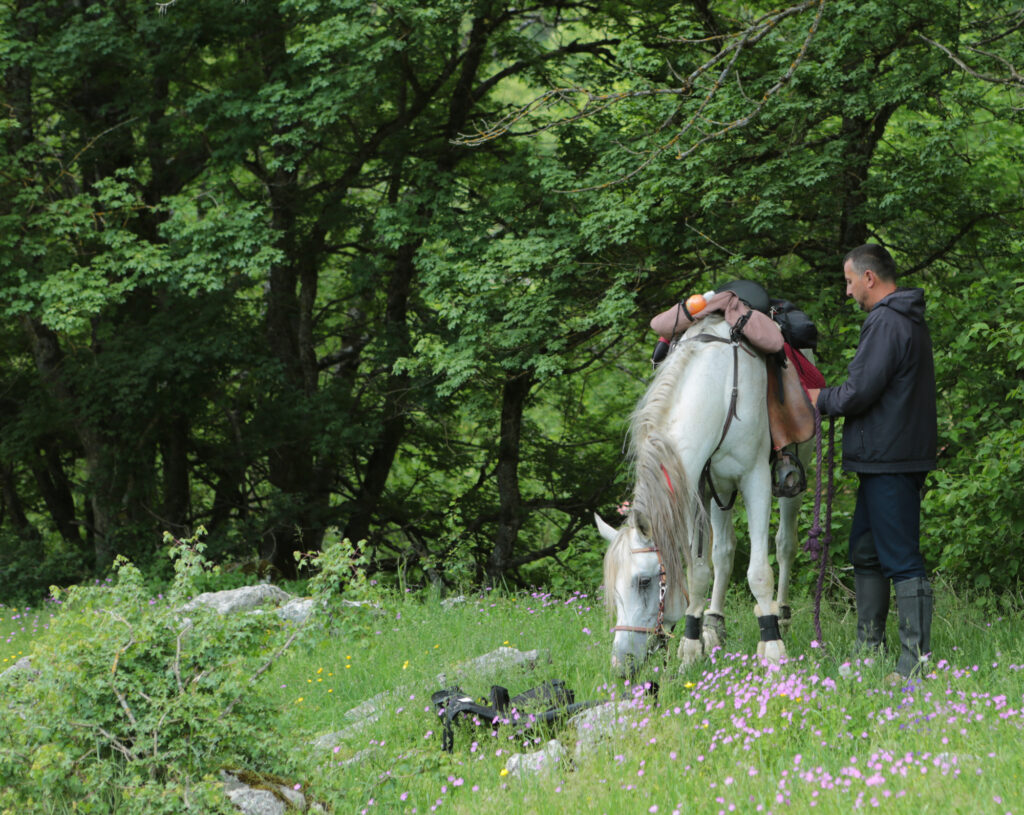 Te paard in Montenegro - Vakantie te paard / Reisbureau Perlan