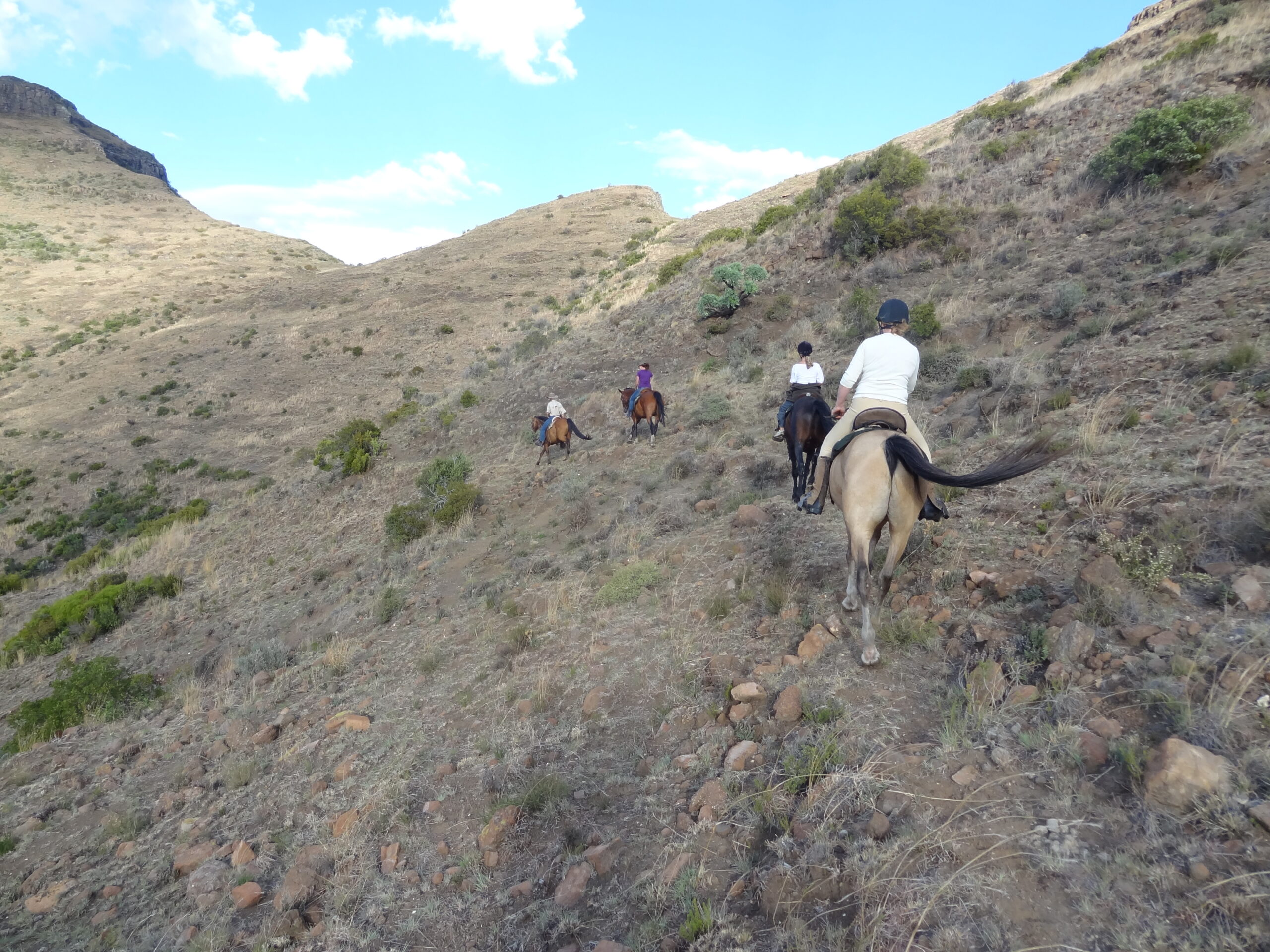 Paardrijden in Moolmanshoek / Zuid Afrika - Vakantie te paard / Reisbureau Perlan