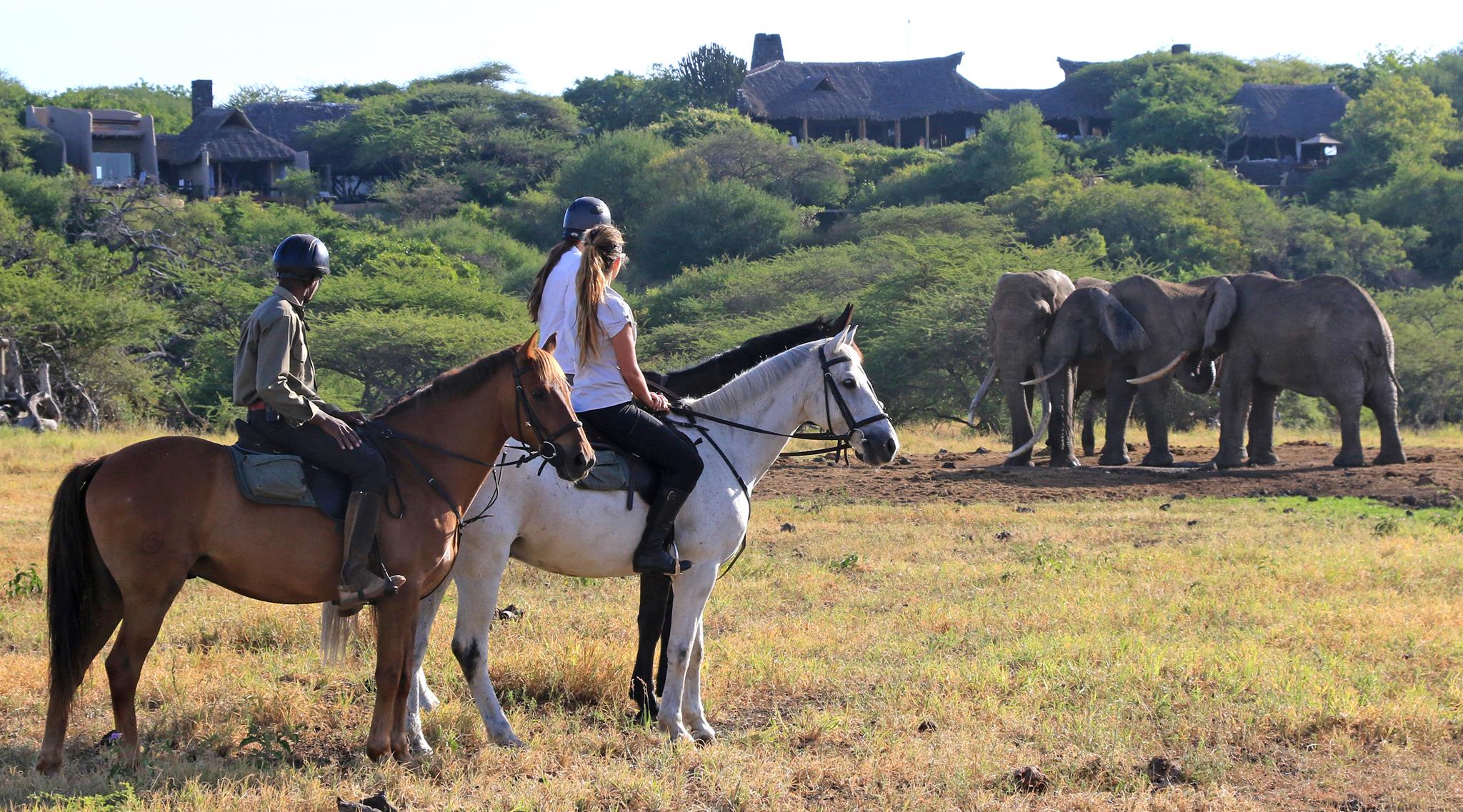 Safari te paard in Ol Donyo / Kenia - Vakantie te paard / Reisbureau Perlan