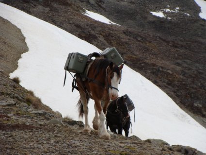 Paardrijden in Nieuw-Zeeland - Vakantie te paard / Reisbureau Perlan