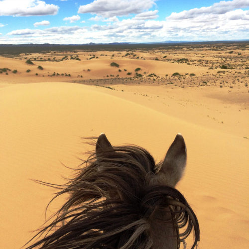 Paardrijden in Mongolië / Vakantie te paard - Reisbureau Perlan
