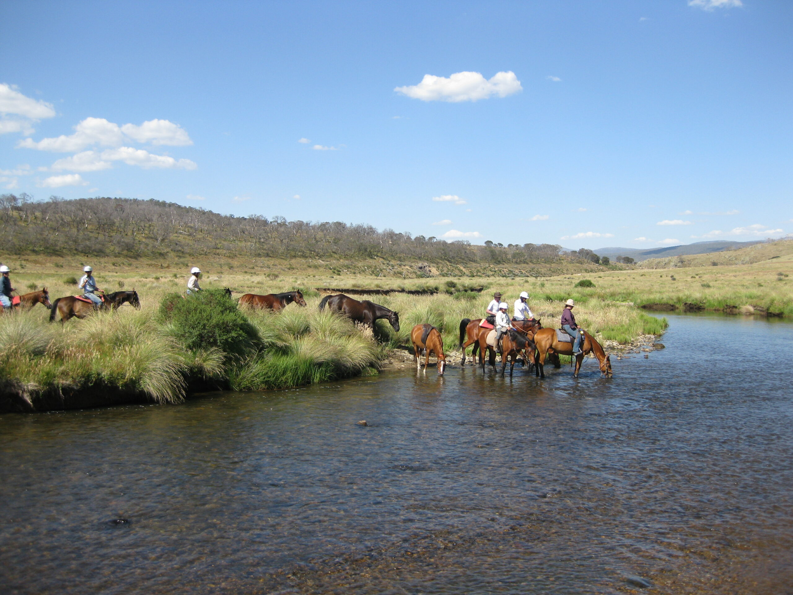 Paardrijden in Australië - Vakantie te paard / Reisbureau Perlan