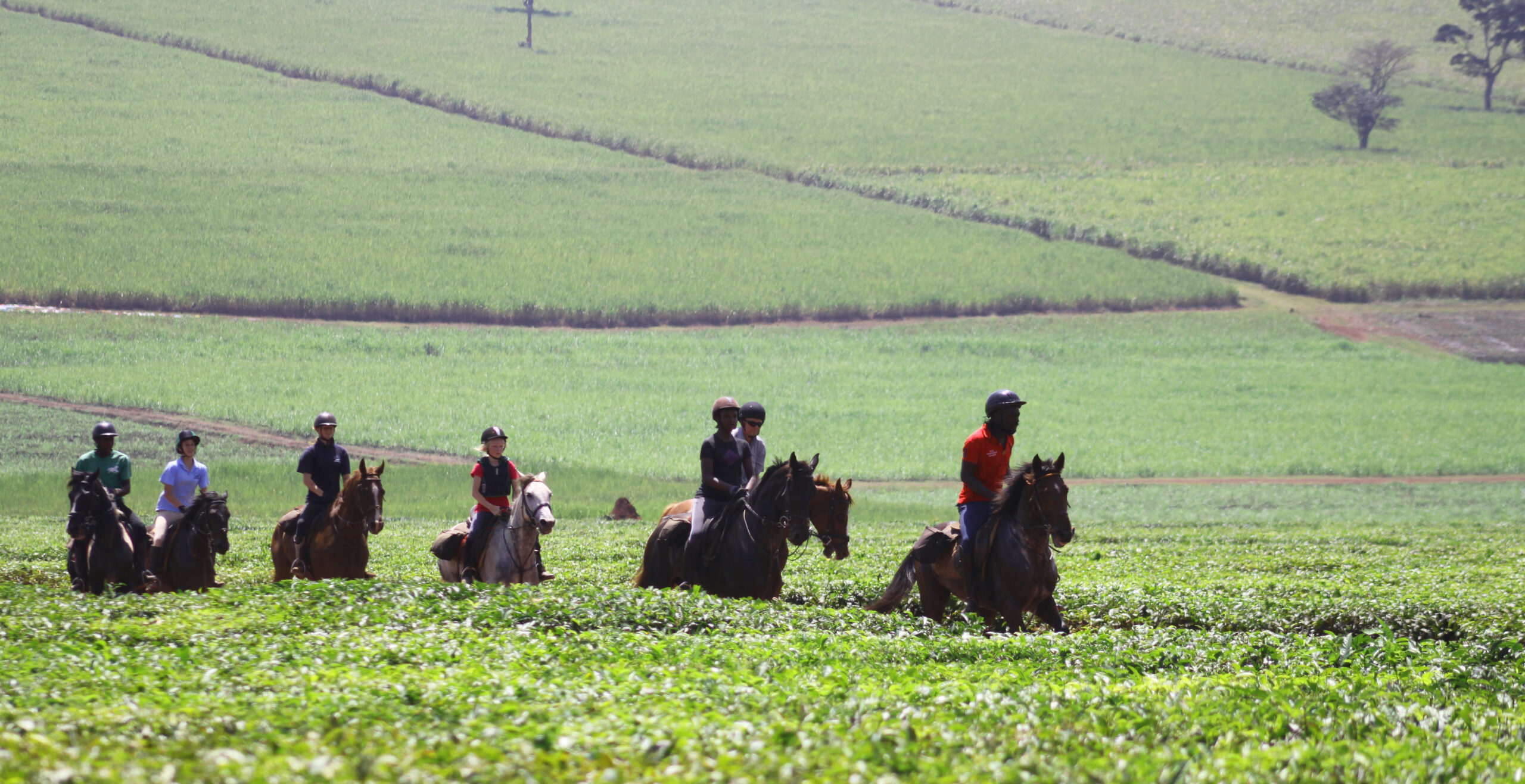 Paardrijden langs de Nijl in Uganda - Vakantie te paard / Reisbureau Perlan
