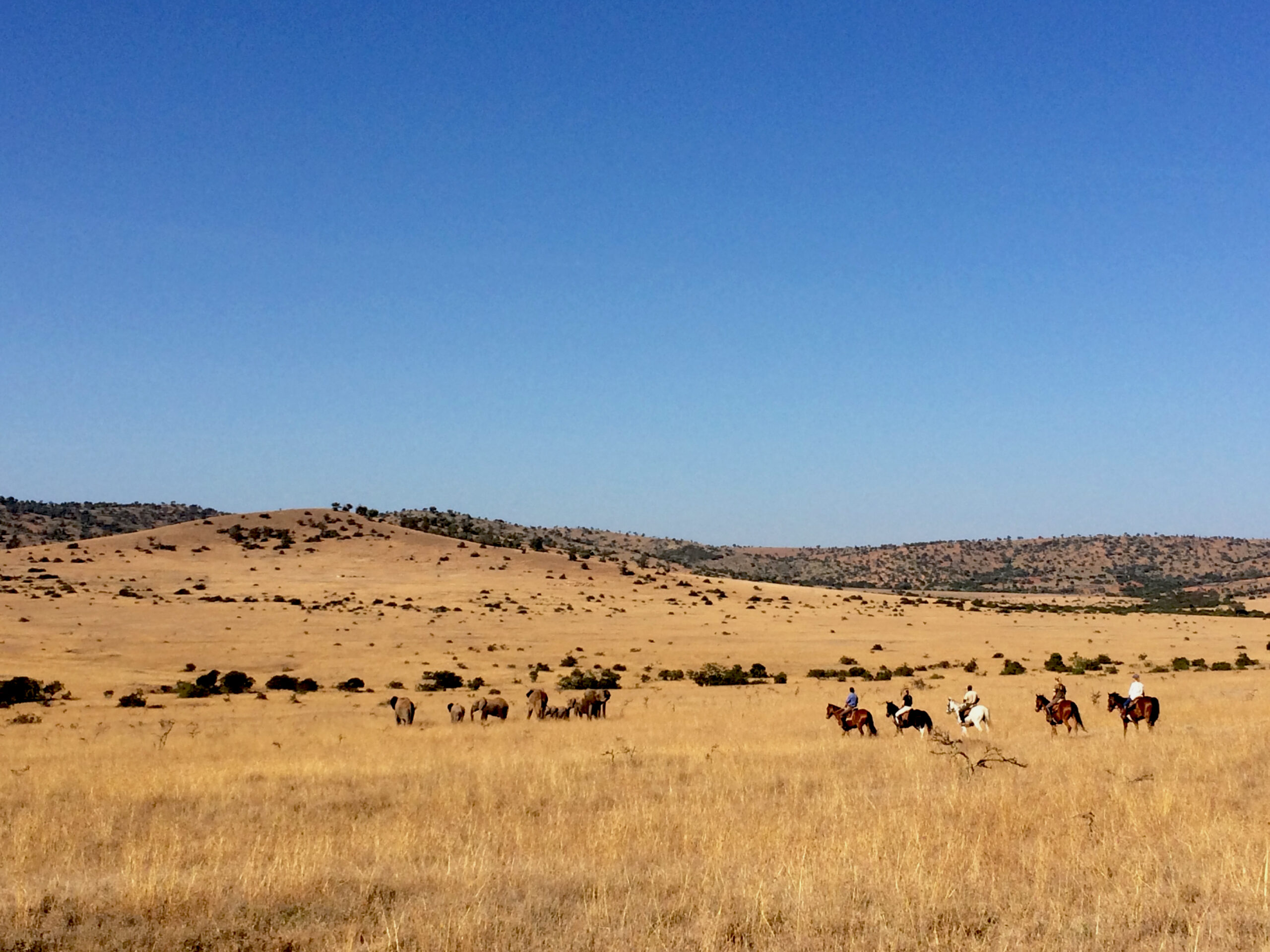 Safari te paard in Borana Lodge / Kenia - Vakantie te paard / Reisbureau Perlan