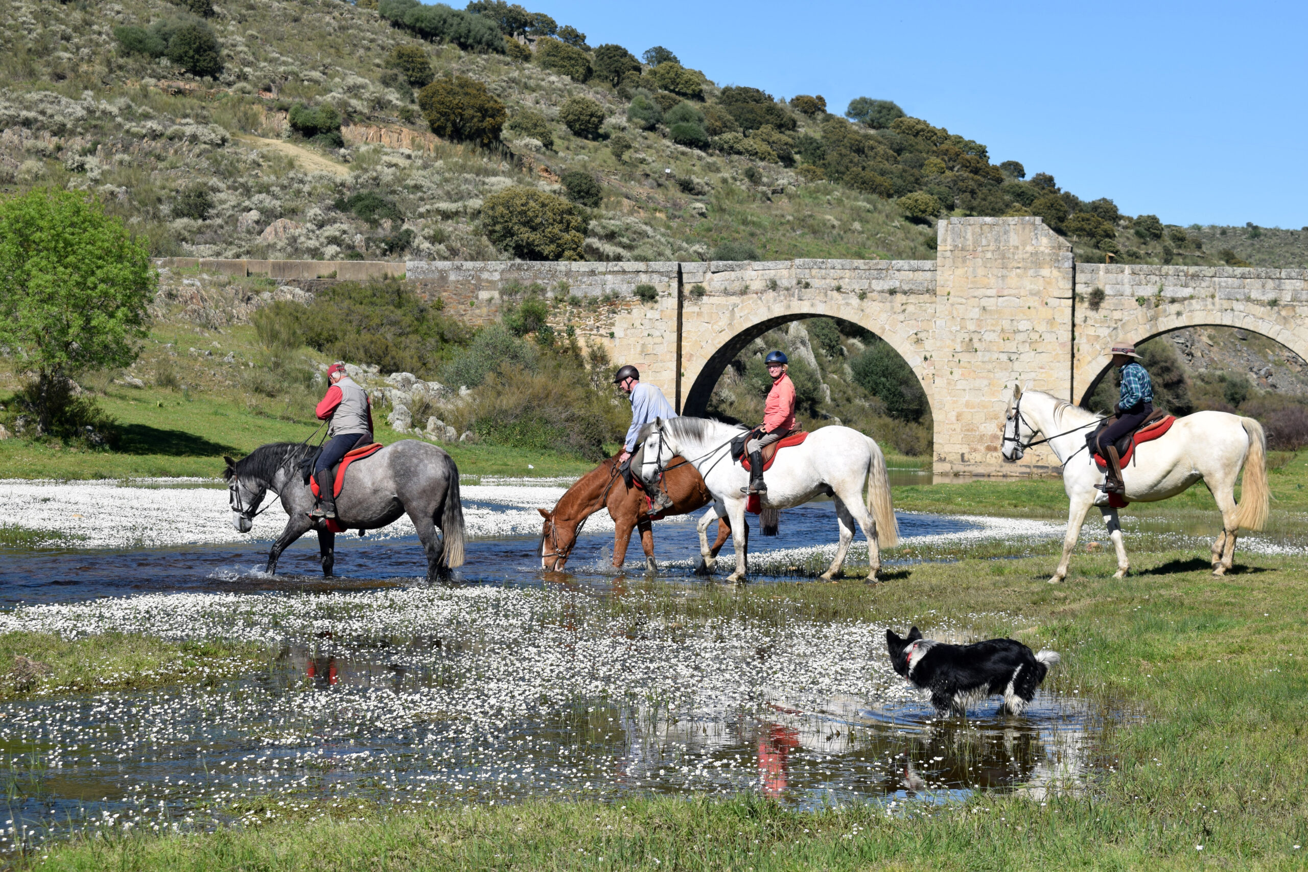 Te paard door Extremadura - Vakantie te paard / Extremadura
