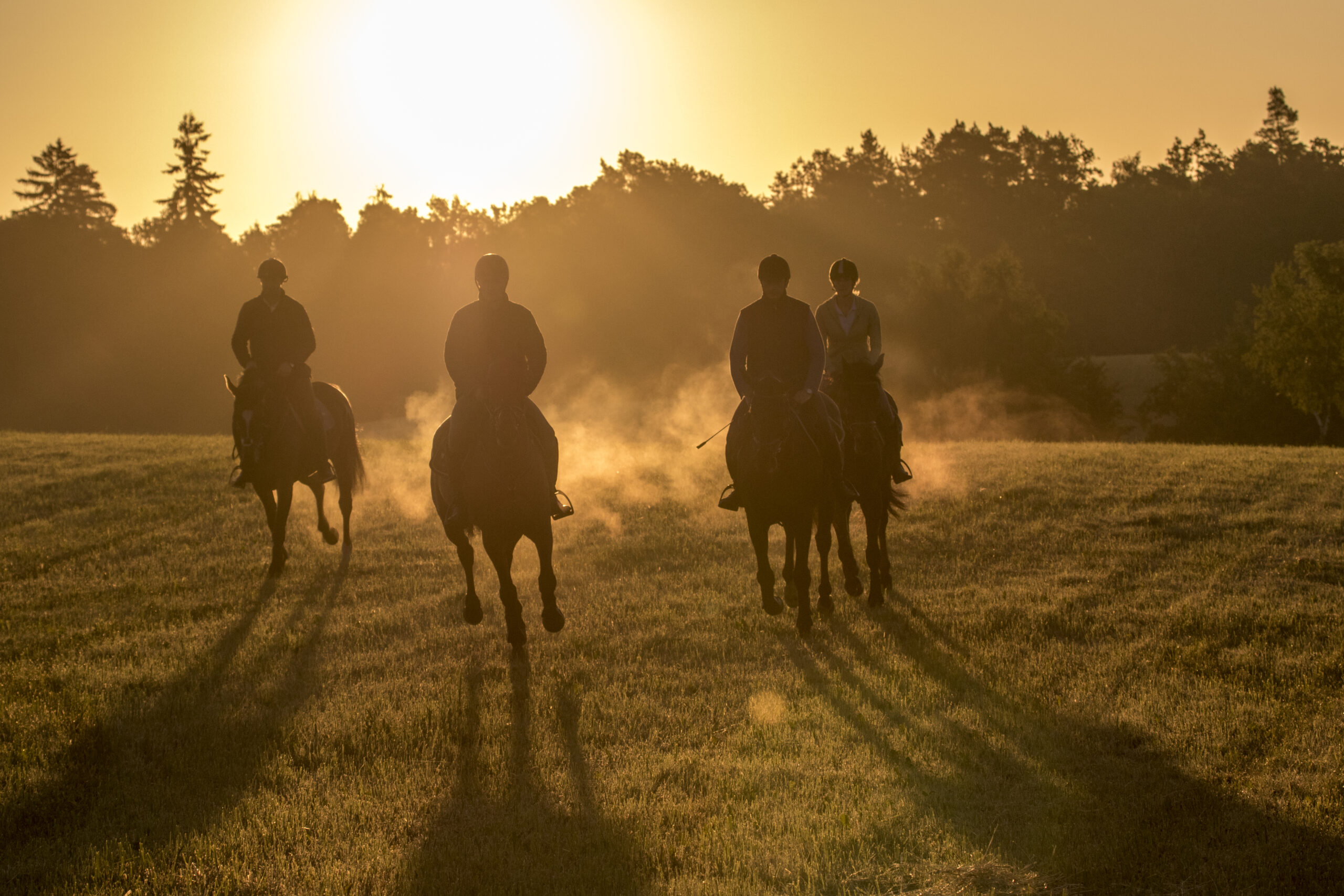 Paardrijden in Polen - Vakantie te paard / Reisbureau Perlan
