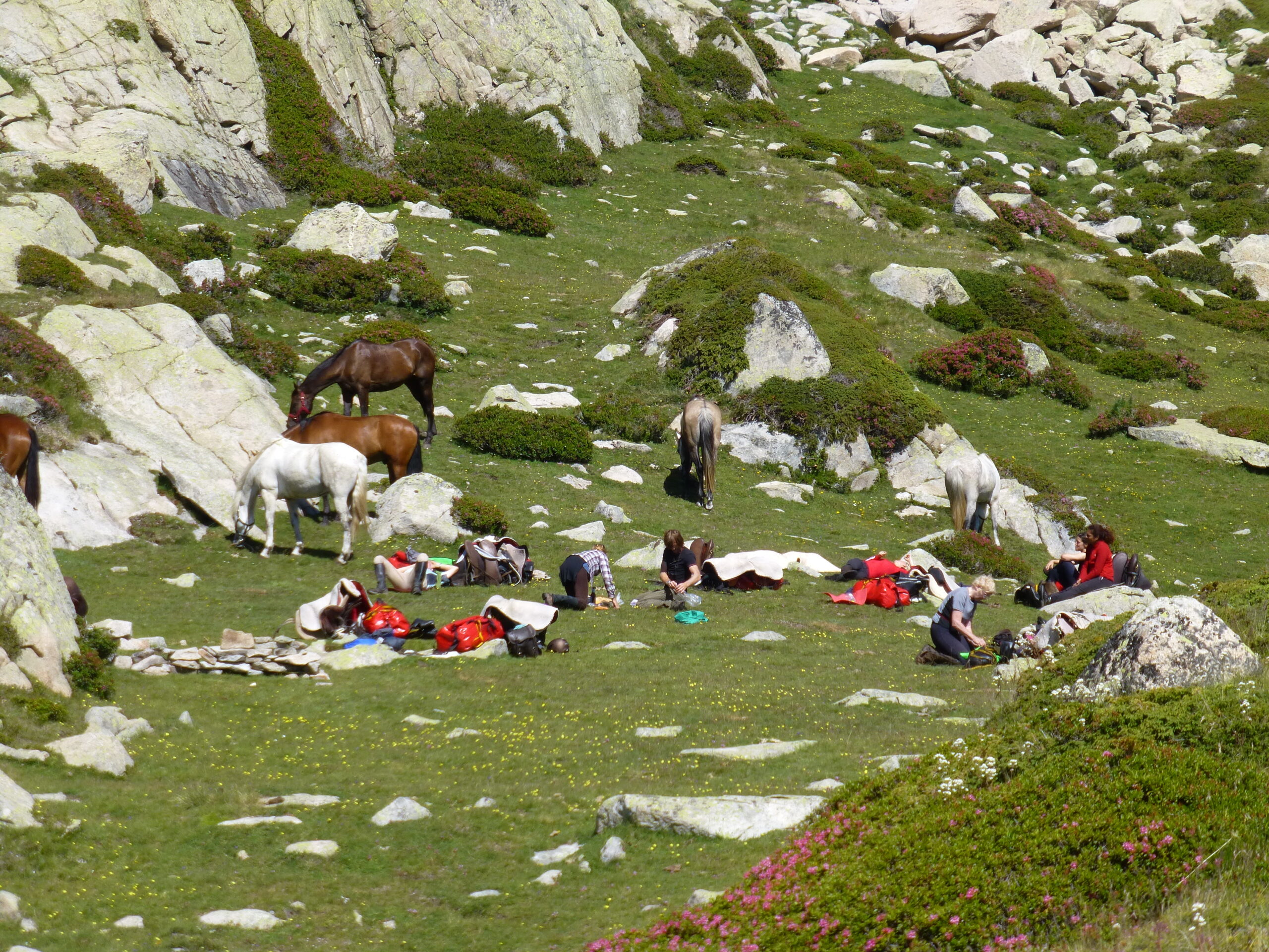Andorra Trail te paard - Vakantie te paard / Reisbureau Perlan