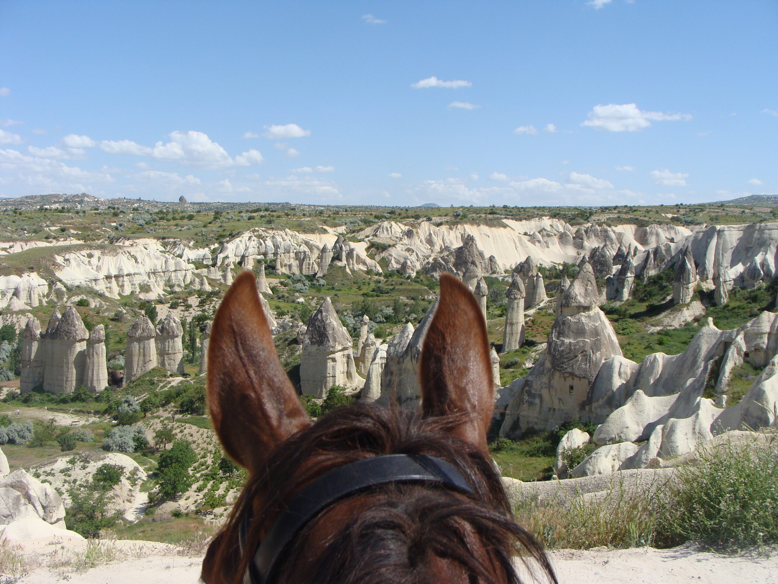 Paardrijden in Turkije - Vakantie te paard / Reisbureau Perlan