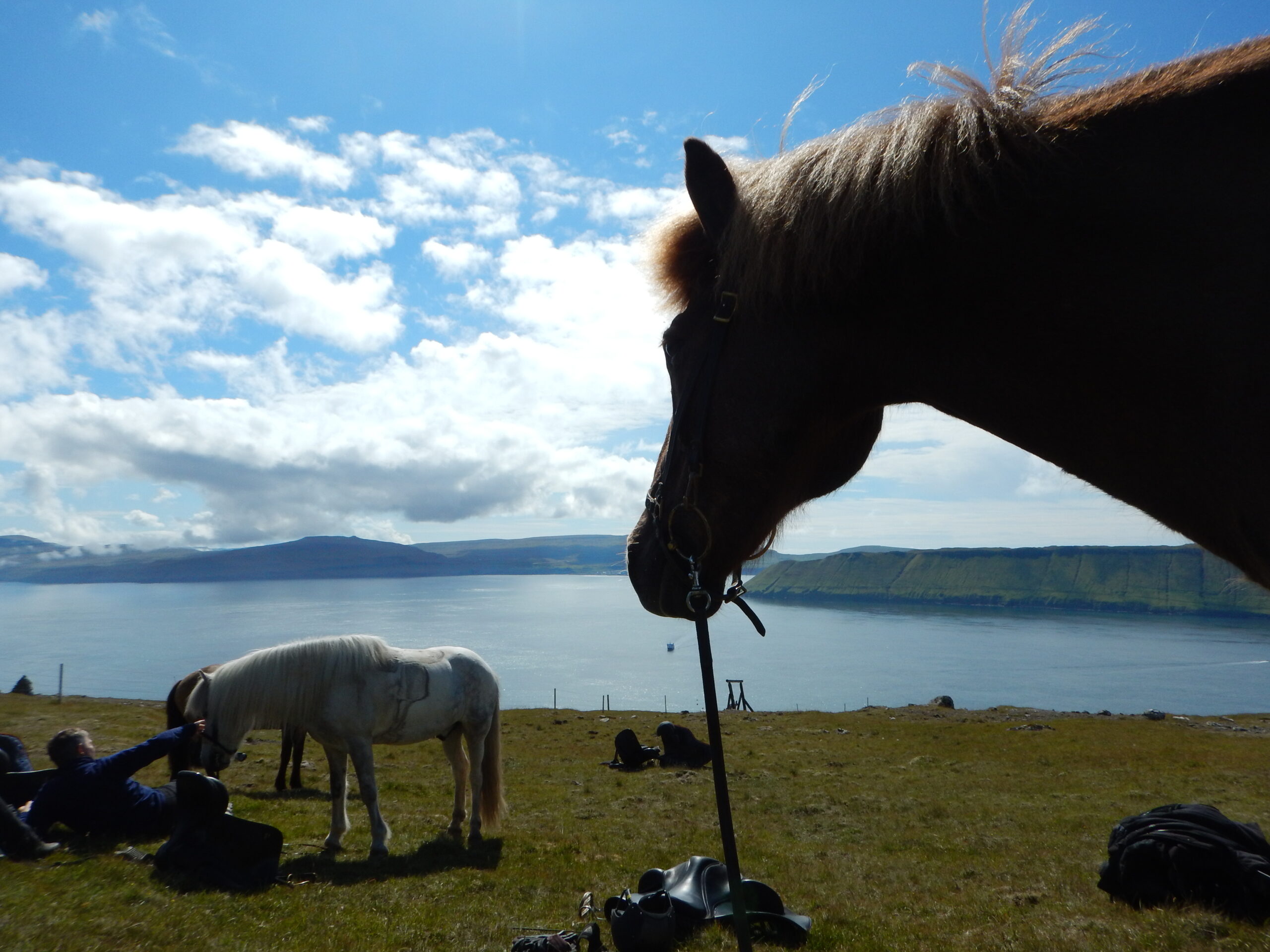 Te paard op de Faroereilanden - Vakantie te paard / Reisbureau Perlan