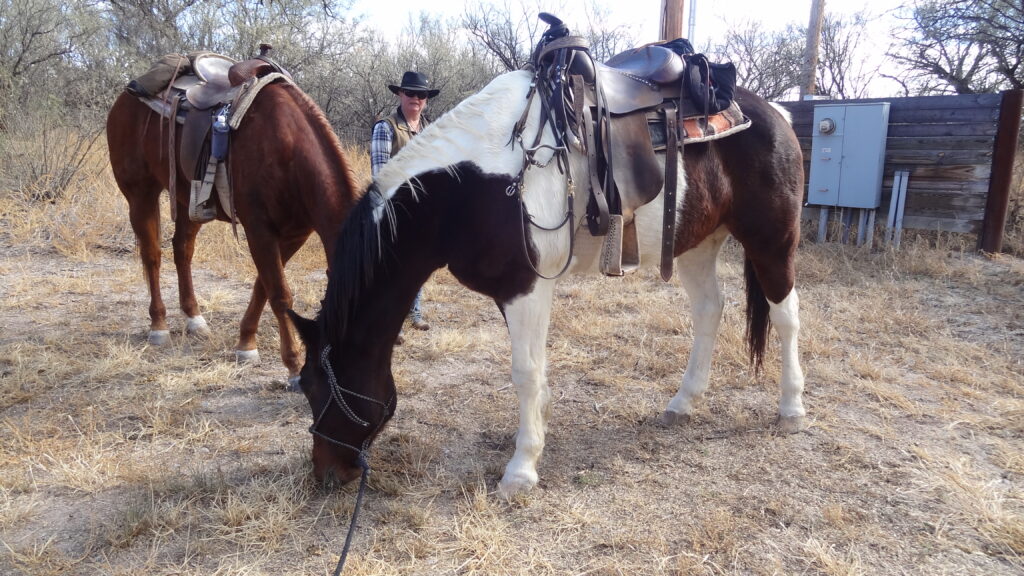 Ranchvakantie in Arizona / Verenigde Staten - Vakantie te paard / Reisbureau Perlan