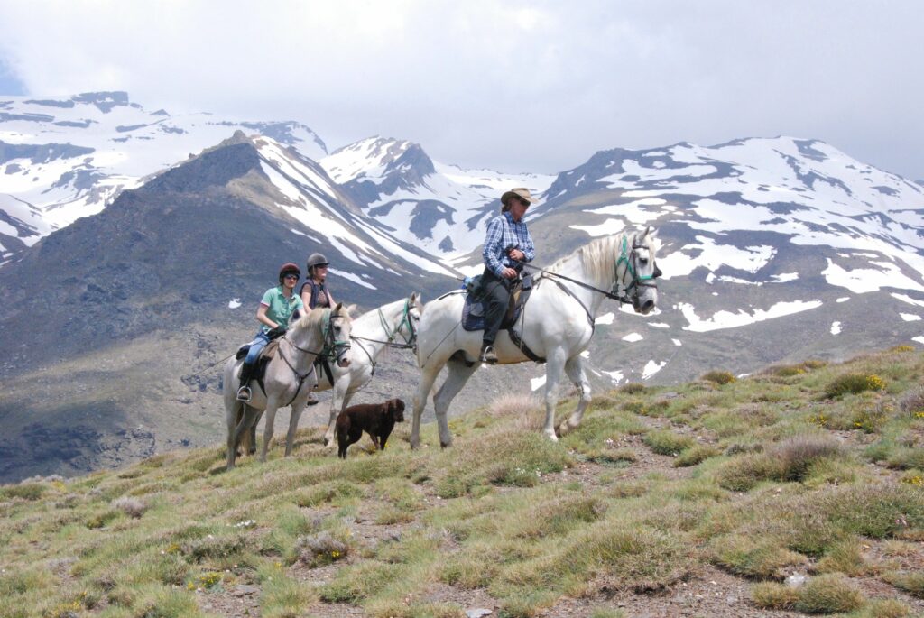 Paardrijden in de Sierra Nevada - Vakantie te paard / Reisbureau Perlan