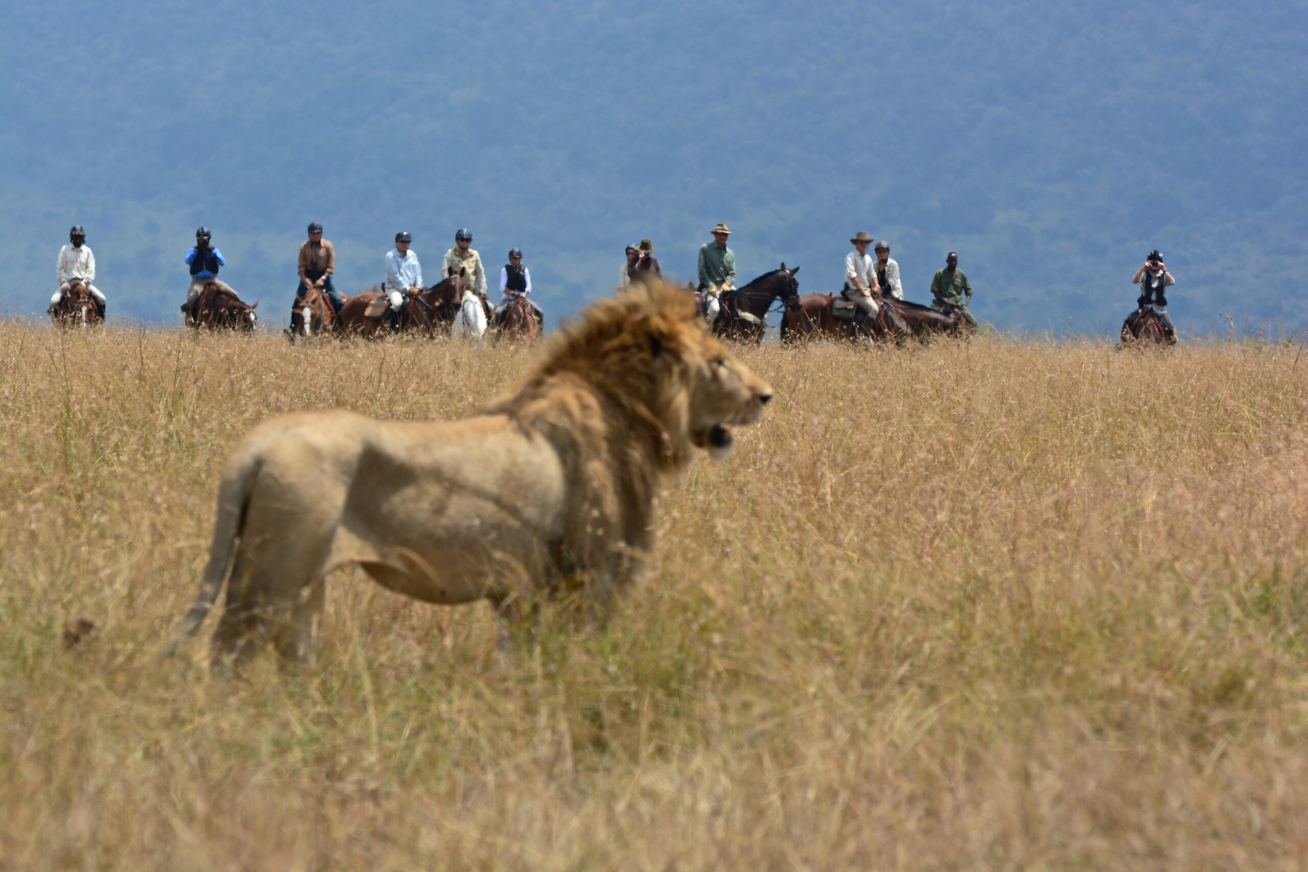 Safari te paard in de Masai regio / Kenia - Vakantie te paard / Reisbureau Perlan