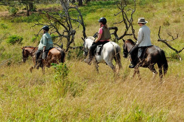 Paardrijden in Costa Rica - Vakantie te paard / Reisbureau Perlan