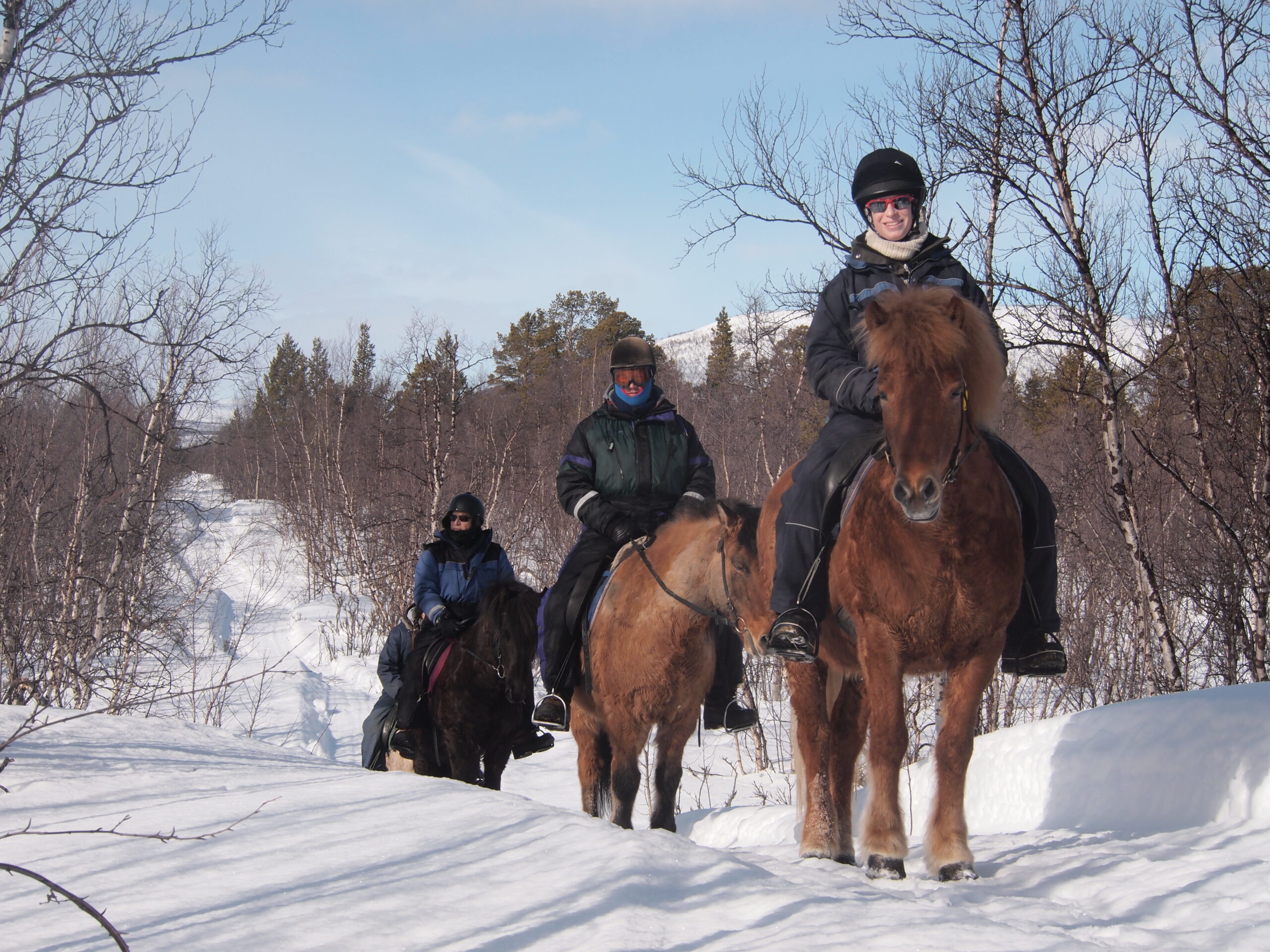 Paardrijden tijdens de winter in Zweden - Vakantie te paard / Reisbureau Perlan