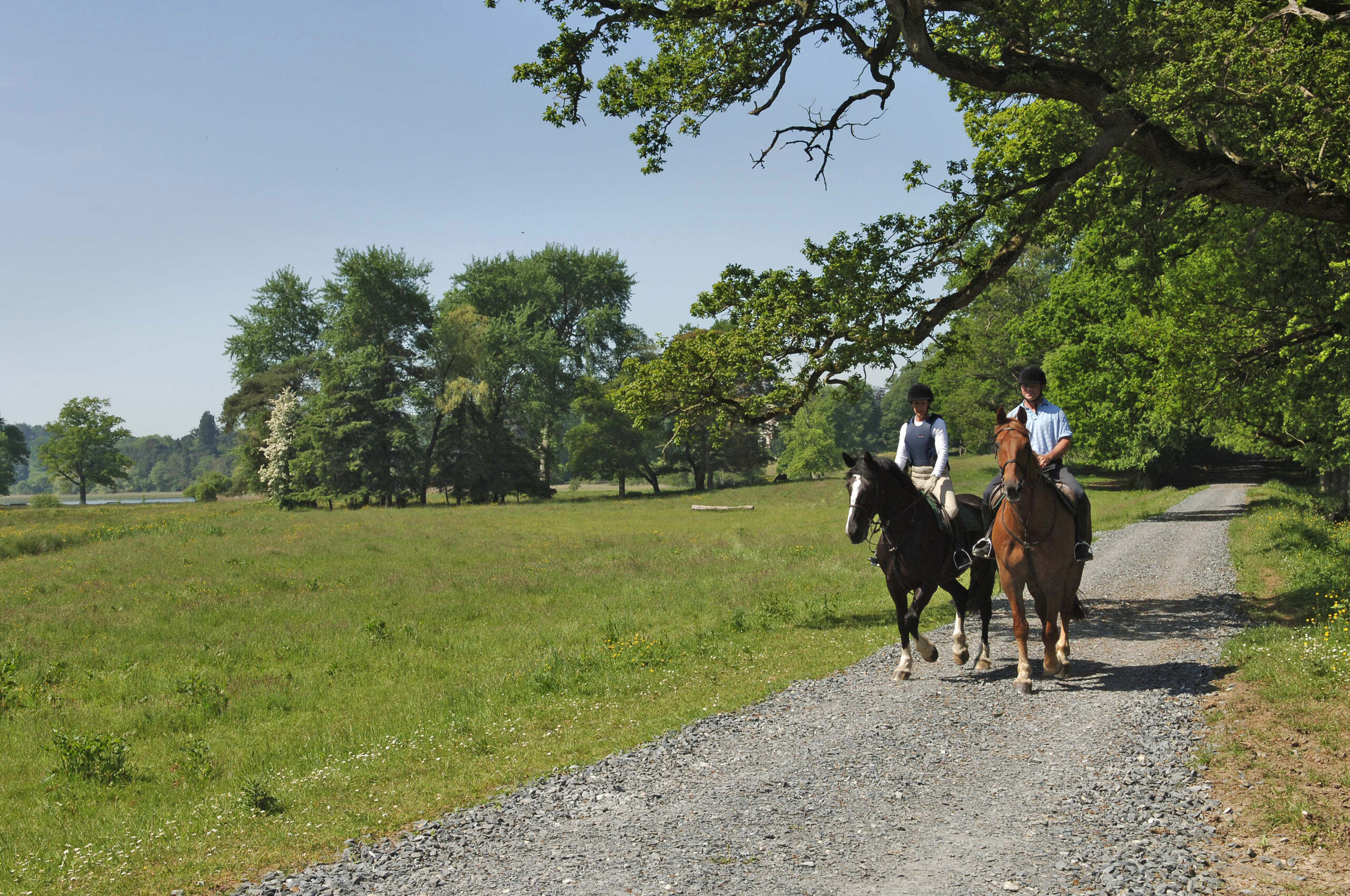 Paardrijden in Ierland - Vakantie te paard / Reisbureau Perlan