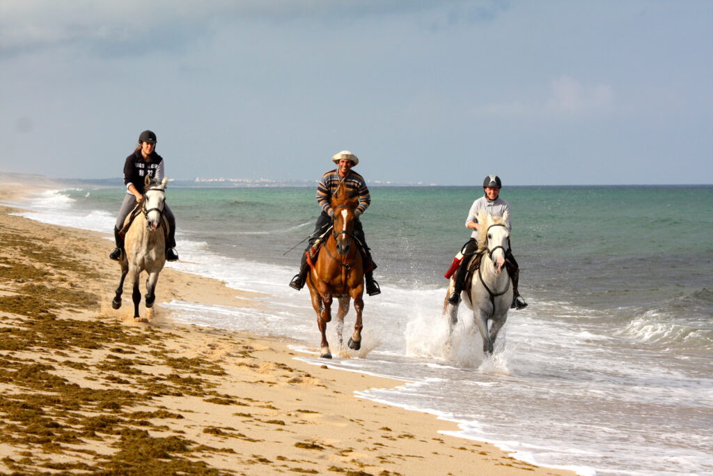 Paardrijden in Noord Portugal - Vakantie te paard / Reisbureau Perlan