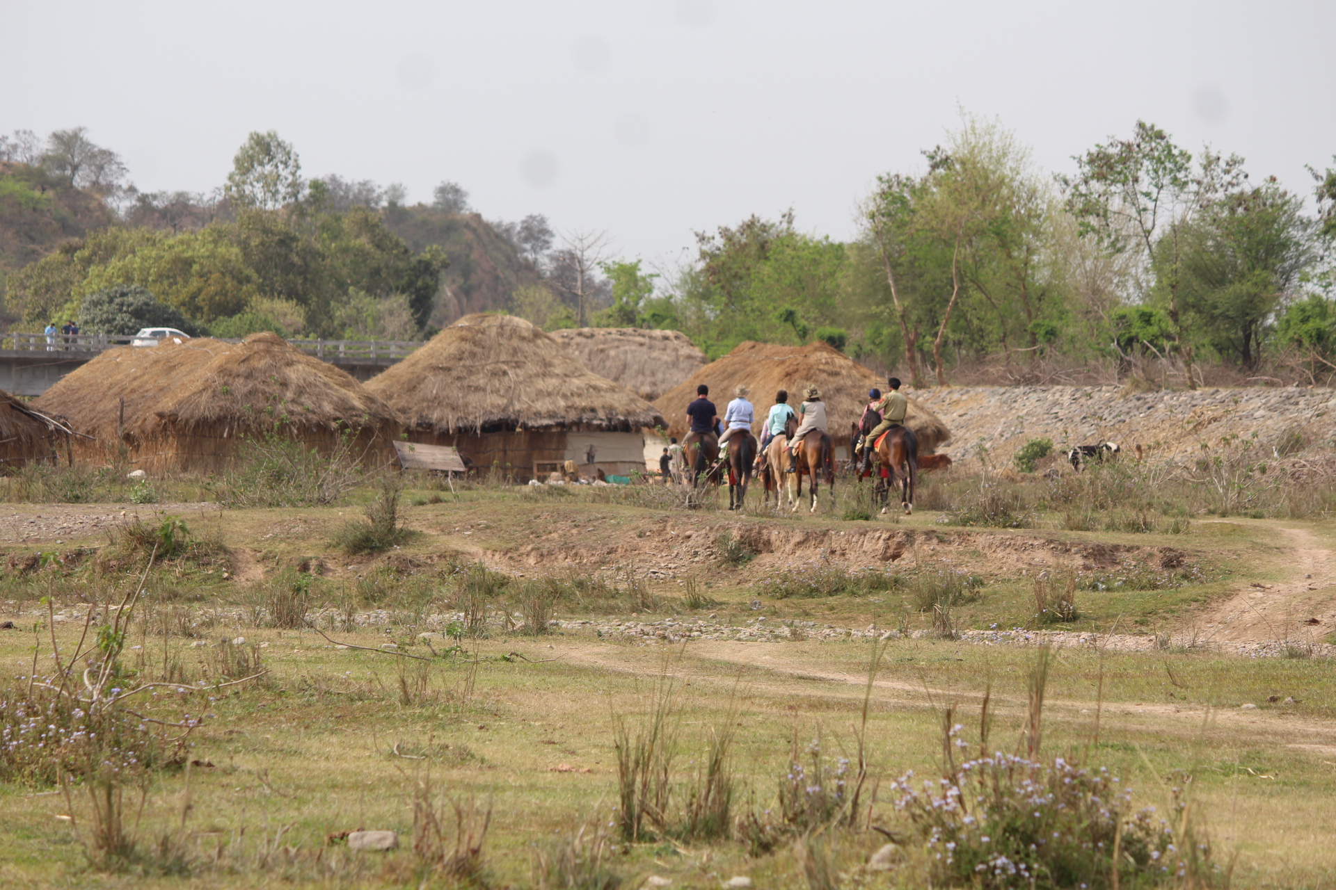 Paardrijden in India - Vakantie te paard / Reisbureau Perlan